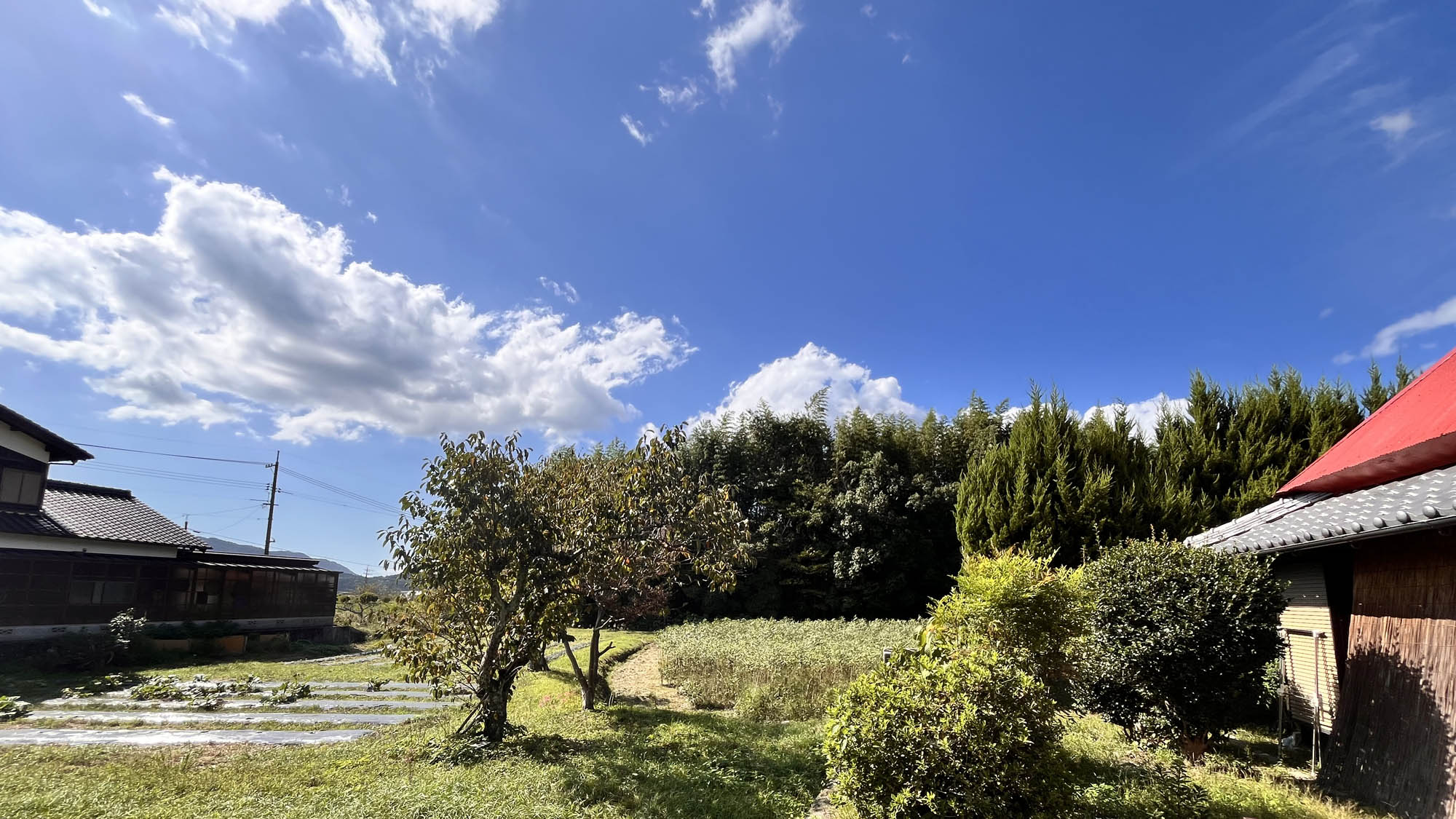 【宿周辺の景色】