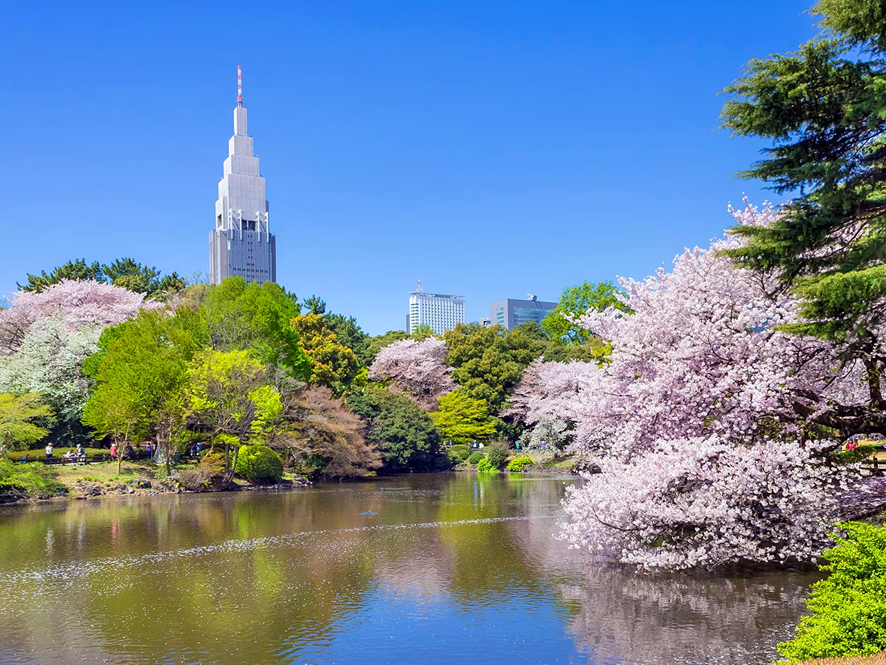 新宿御苑