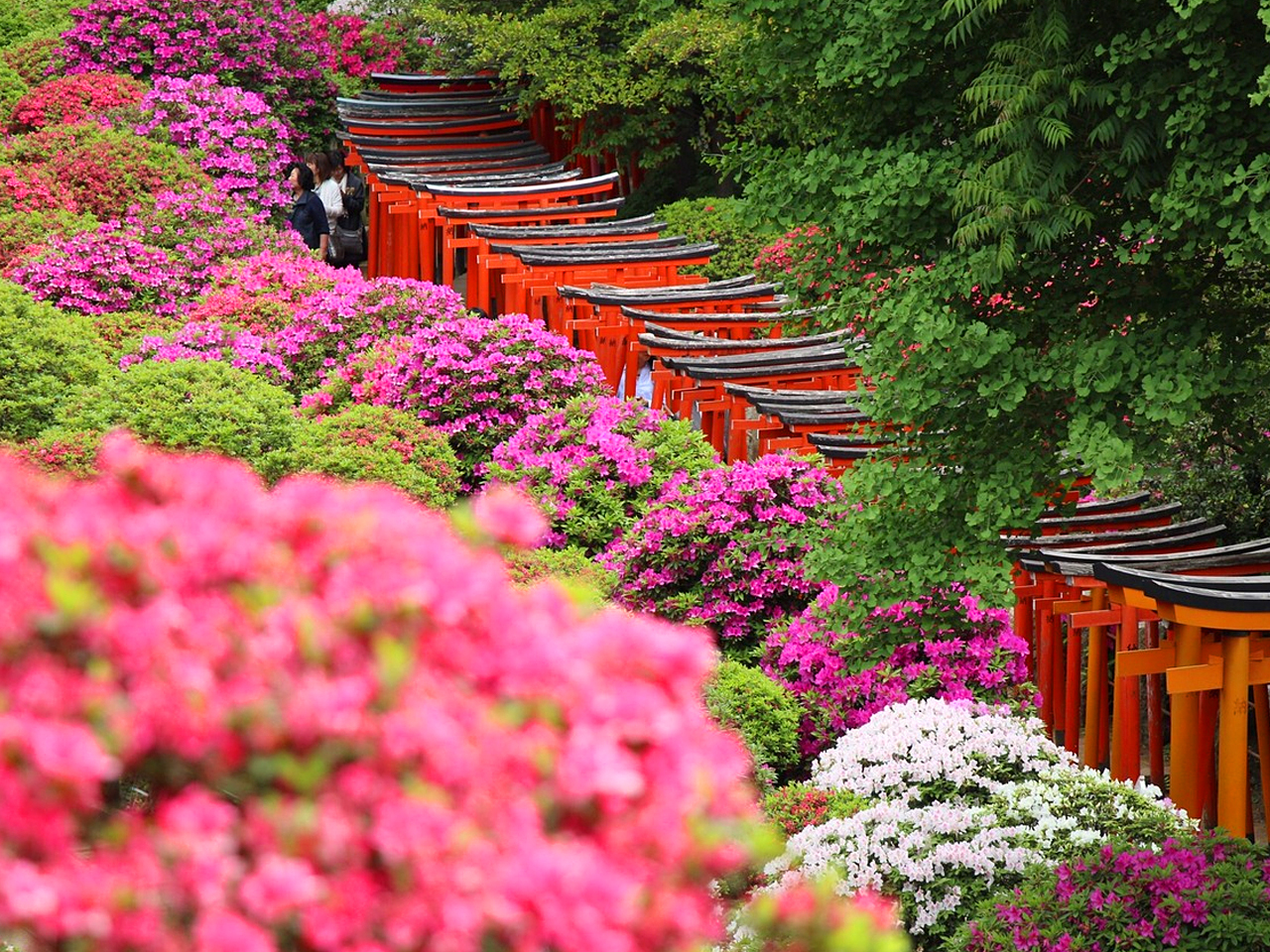 根津神社