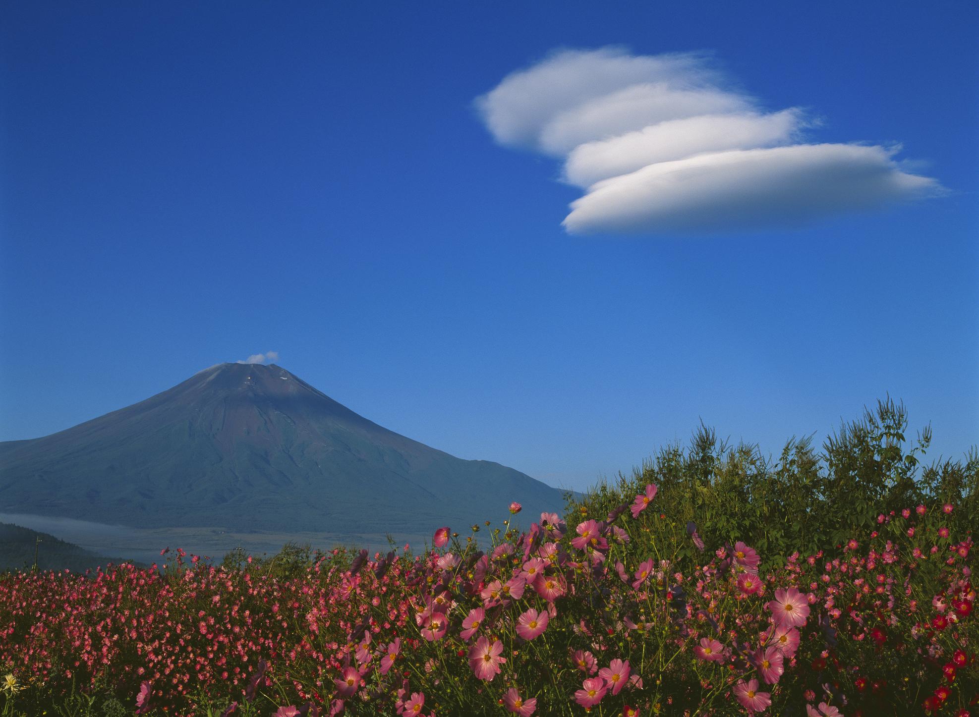 忍野村から見た富士山
