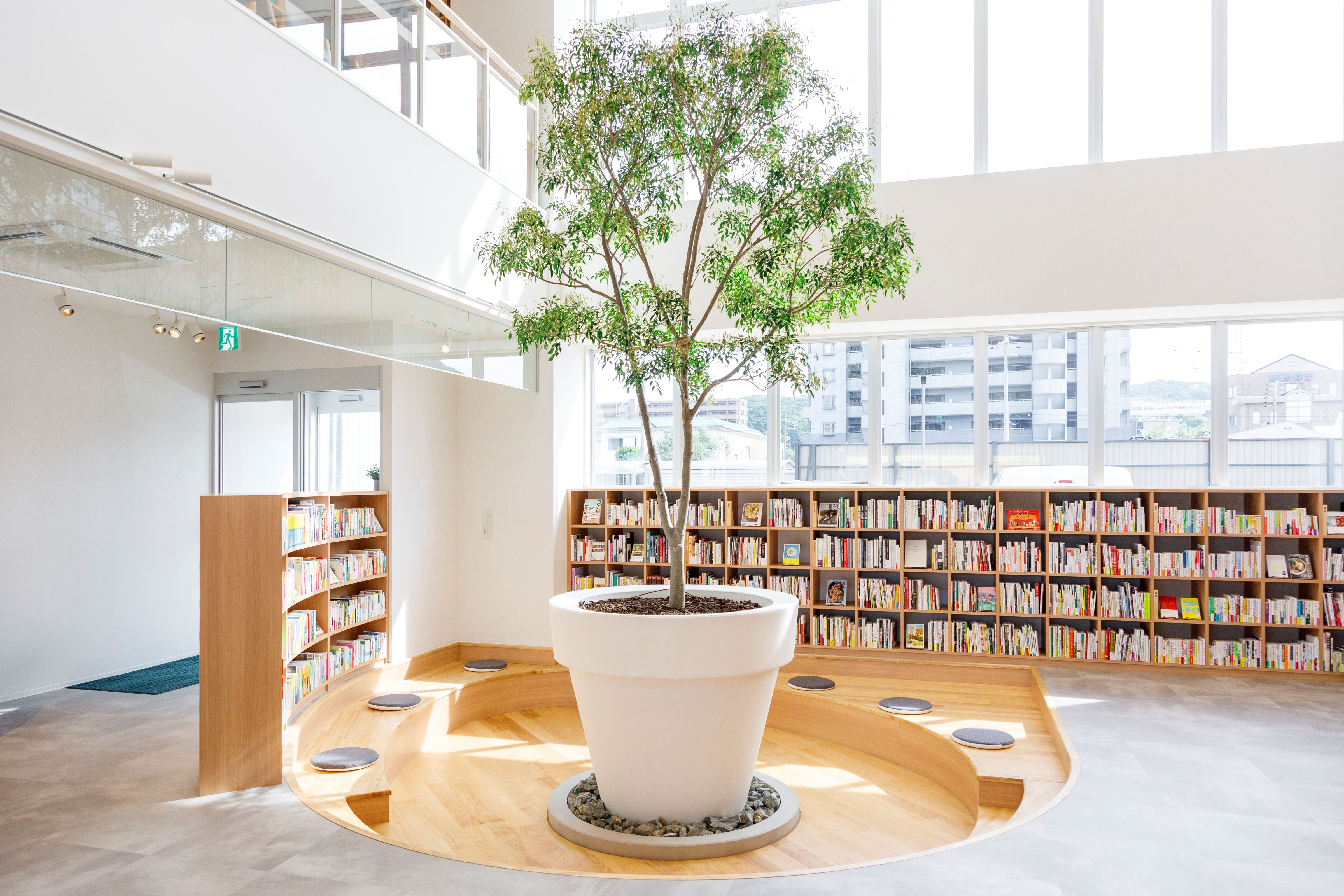 シンボルツリー　シマトネリコ