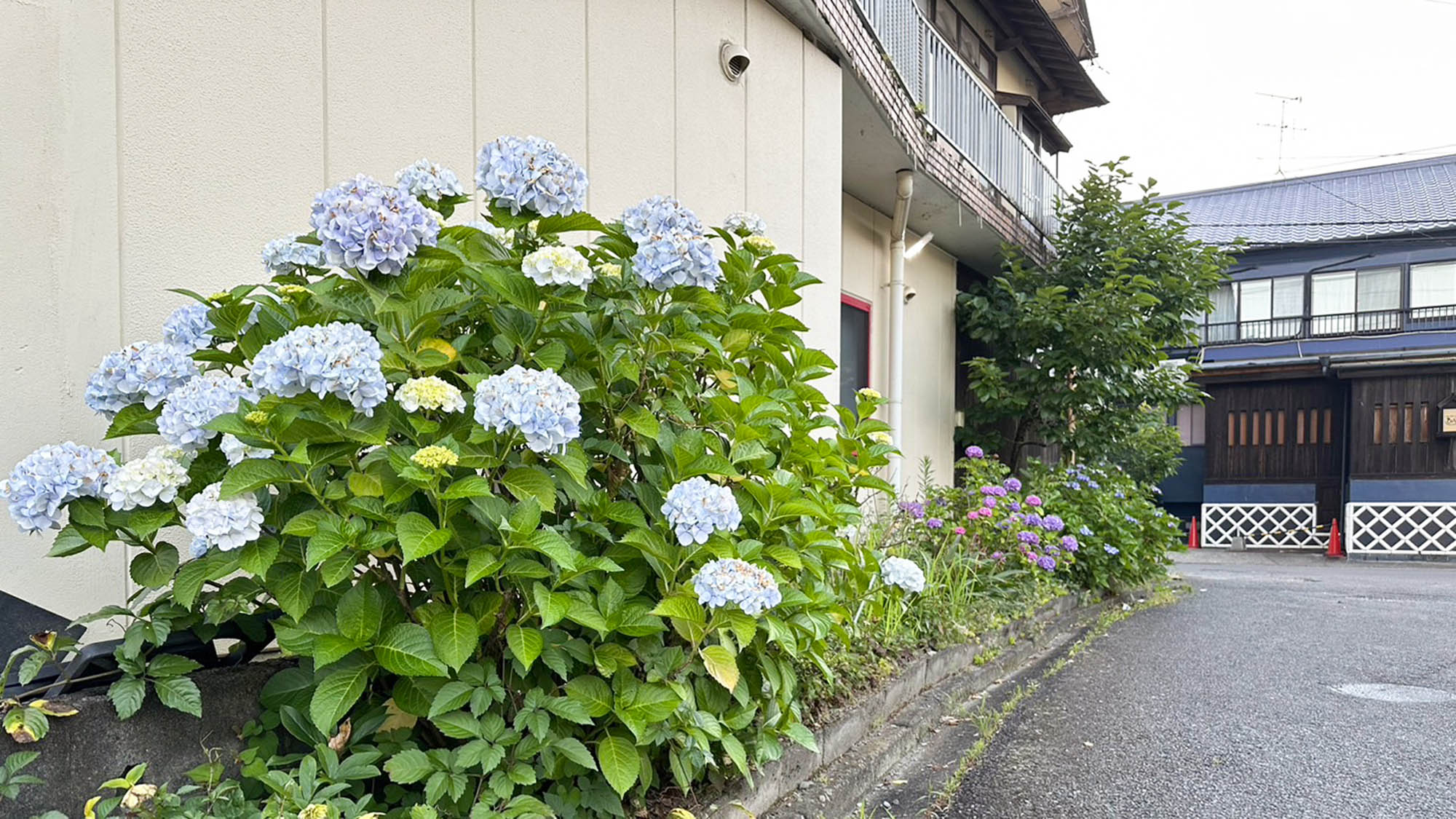 ・【外観】施設周囲の花壇では季節ごとに花が咲き、当施設にいらっしゃるお客様をお迎えします