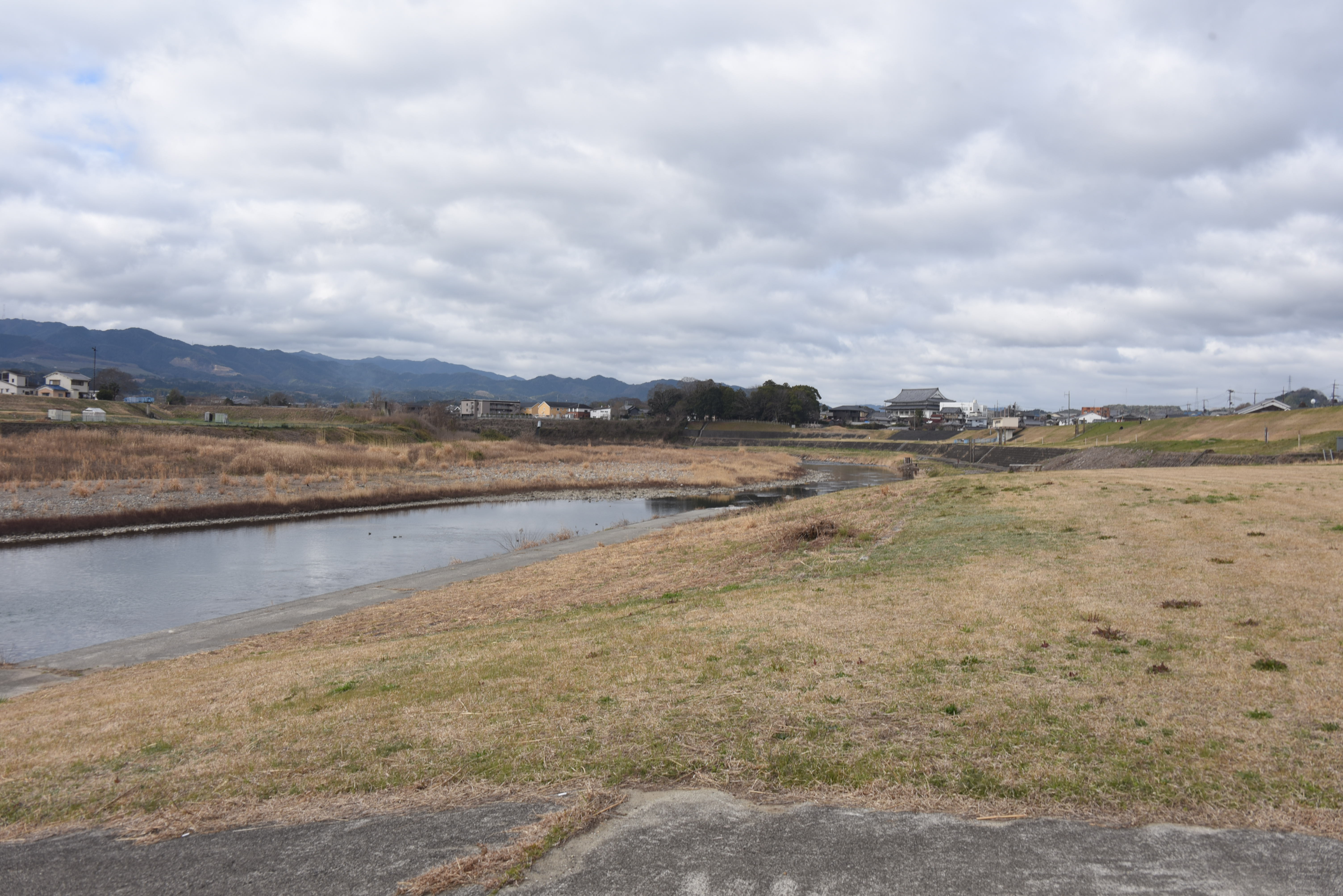 きらめく水面に、初夏の気配がそっと宿る。吉野川散歩。