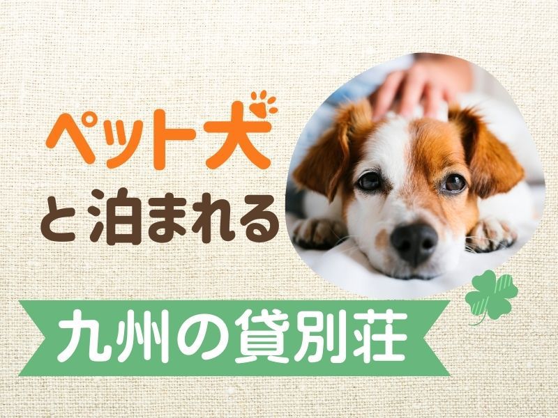 【最大7名様OK】家族・グループで楽しむ一棟貸しプラン