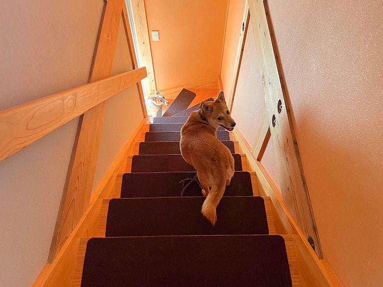 【2階建て】防滑対応済みの階段