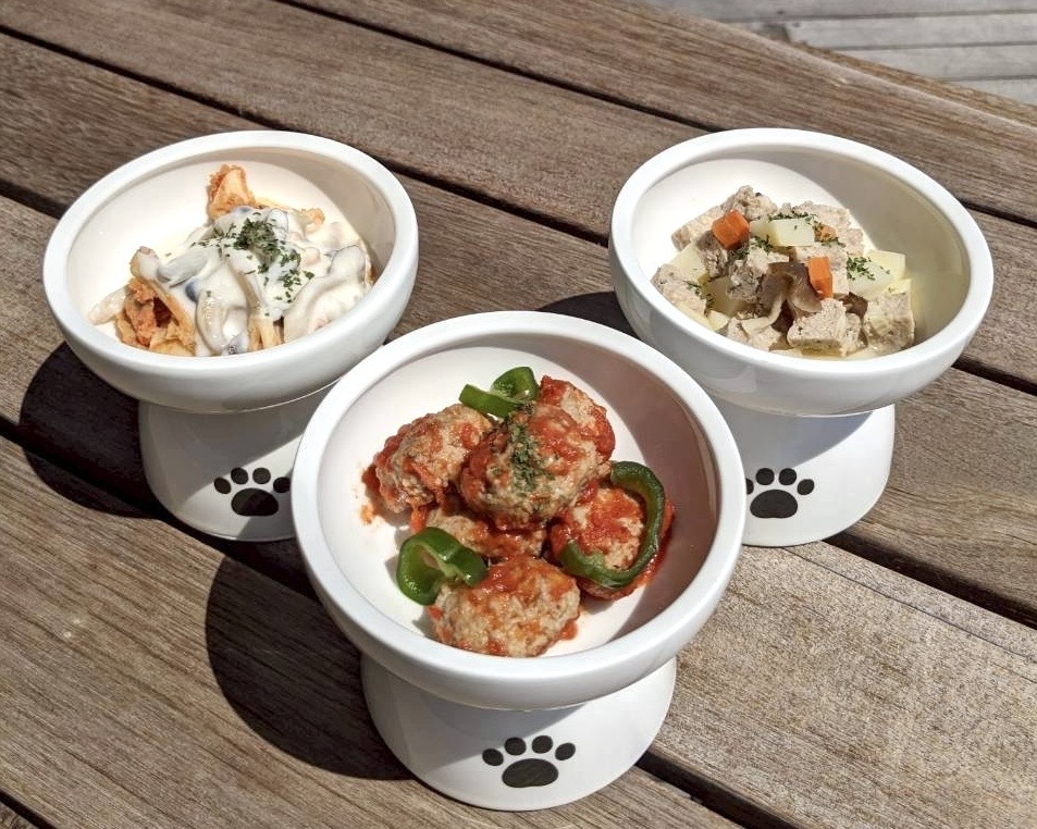 【連泊割り｜1泊朝食】平日限定で約30％お得！ペット同伴可のオーシャンビューテラスで選べる和洋朝食！