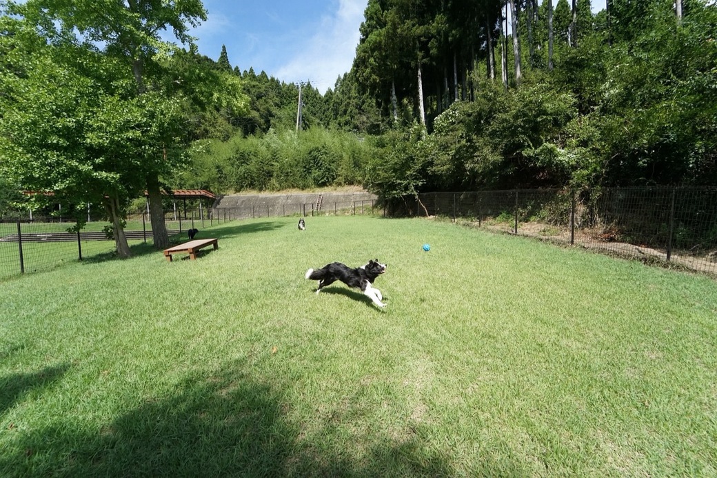 【連泊割り｜素泊まり】平日限定で約30％お得！愛犬や愛猫とゆっくりするほどお得なご褒美一棟貸しステイ