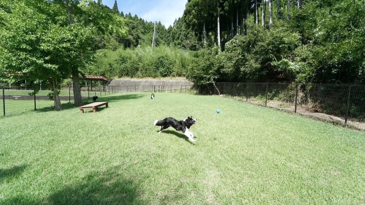 【冬季限定すき焼き】心も体もあたたまる名産仙台牛のすき焼き×オーシャンビューテラスで選べる和洋朝食