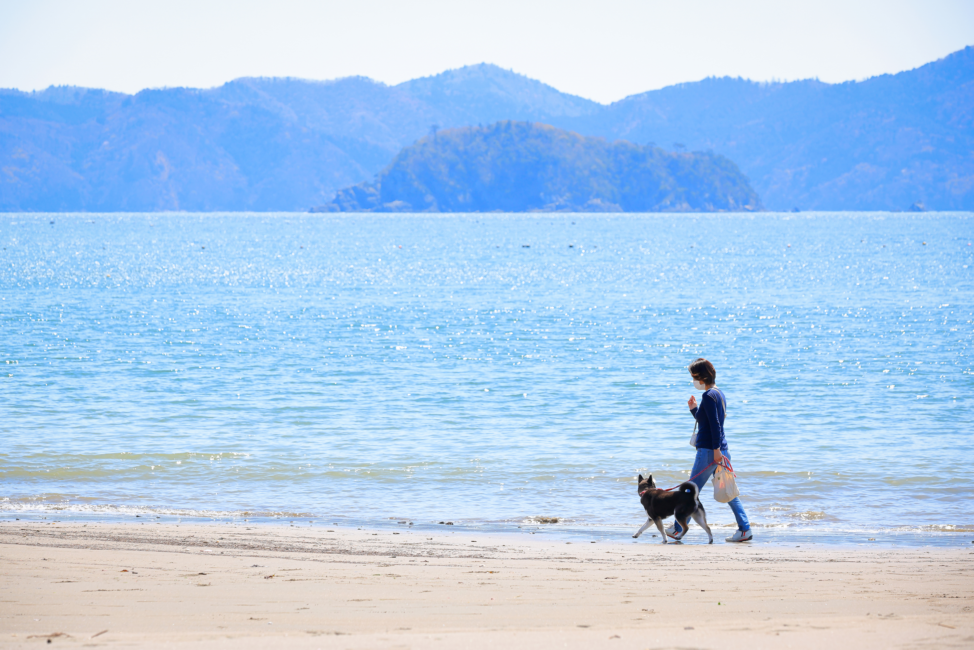 白浜ビーチパーク　徒歩10分