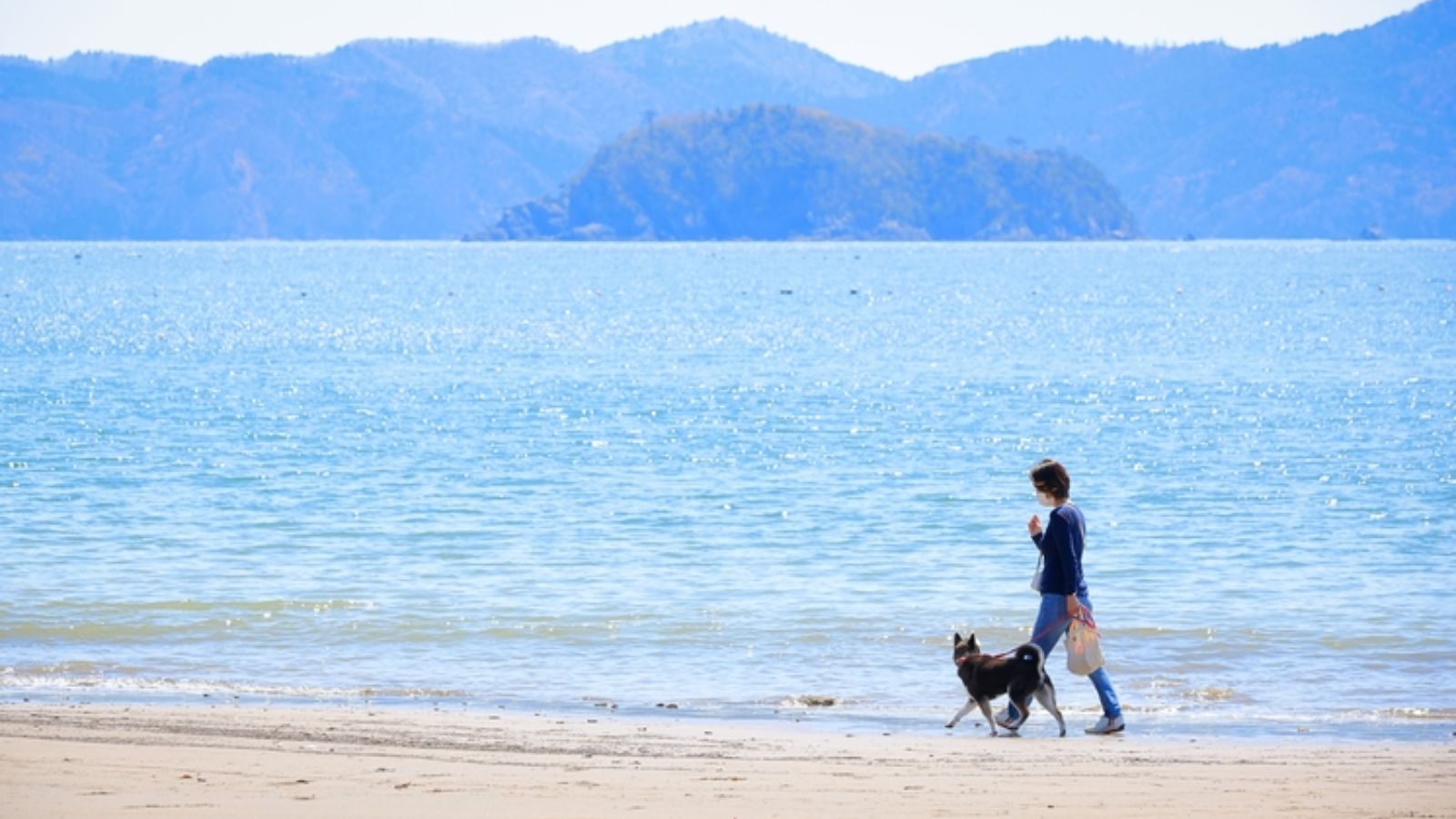 白浜ビーチパーク　徒歩10分