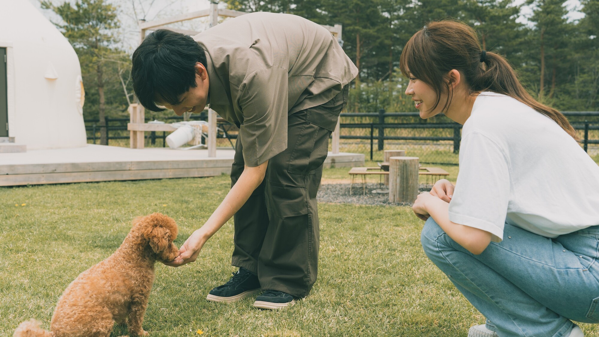 愛犬との思い出作りに。
