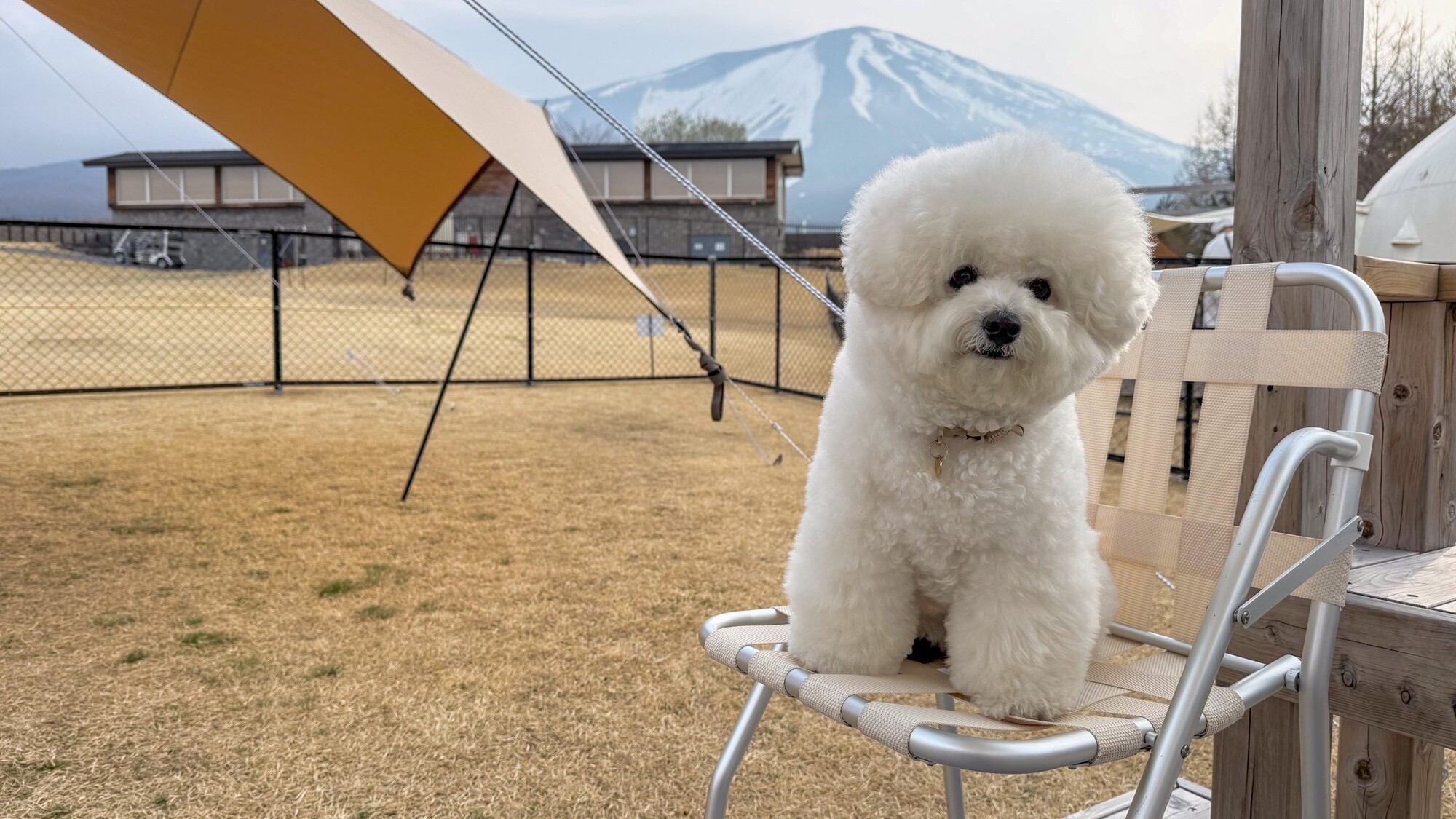 わんちゃんとのご滞在イメージ