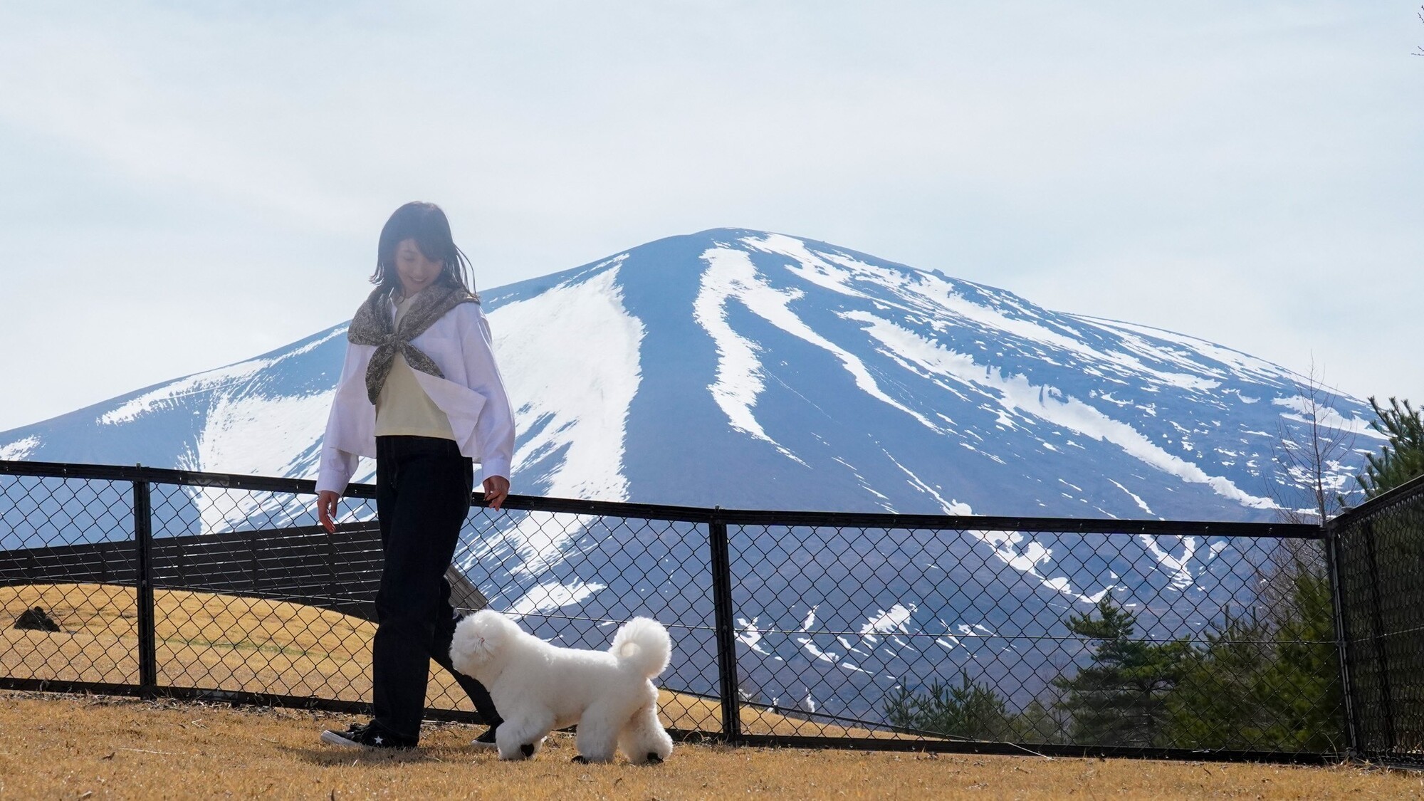 ワンちゃんとのご滞在イメージ。