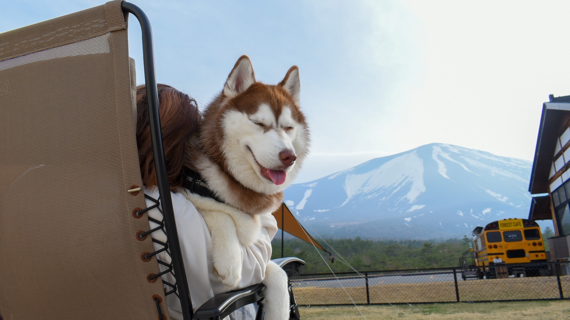 ワンちゃんとのご滞在イメージ。