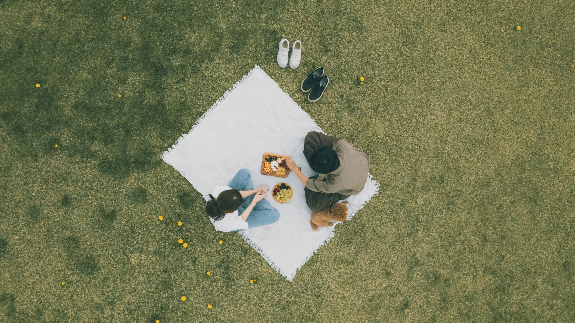 広々としたグランピングエリア。