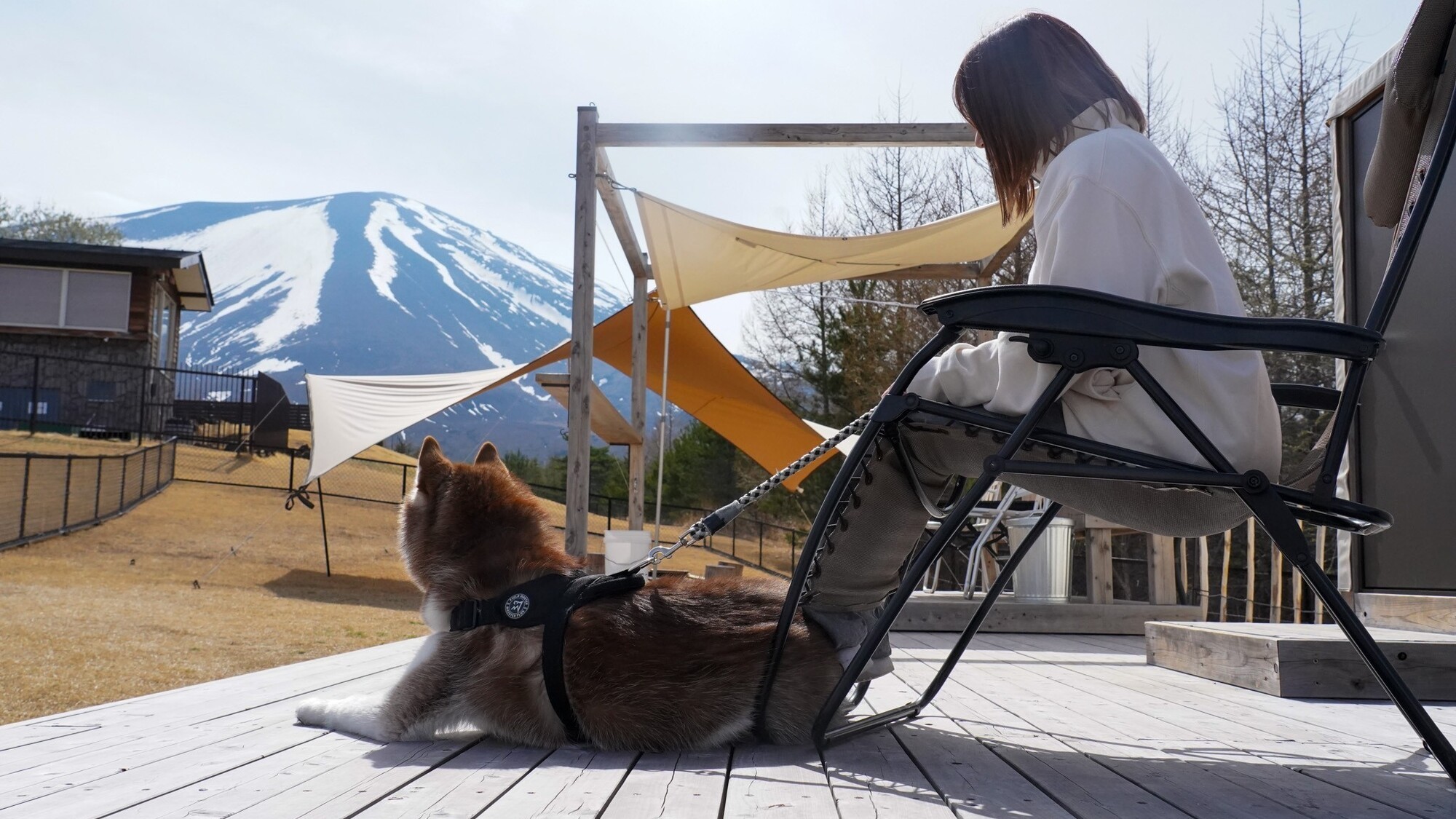わんちゃんとのご滞在イメージ