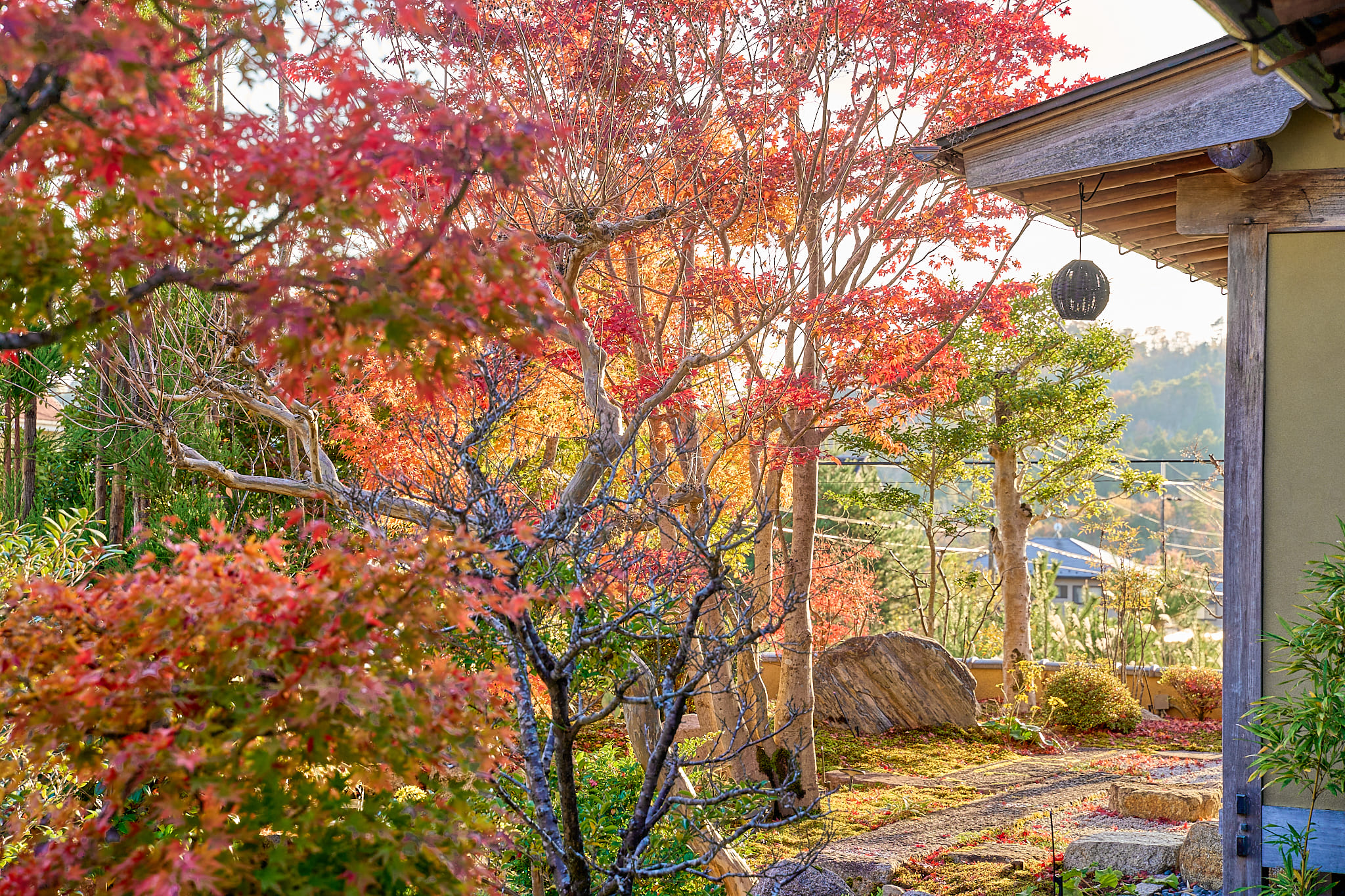 外観（秋）