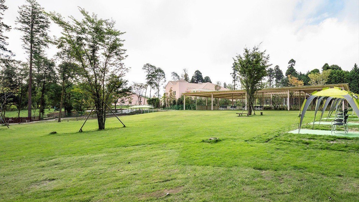 【小谷流の里ドギーズアイランド】ドッグラン