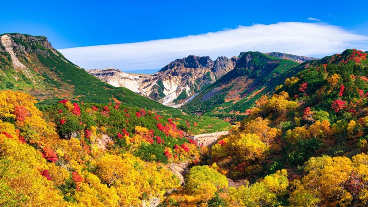 【10月限定│秋の味覚フェア】秋の味覚と十勝で癒しの湯旅◆5％OFFでお得にステイ（ビュッフェ２食）