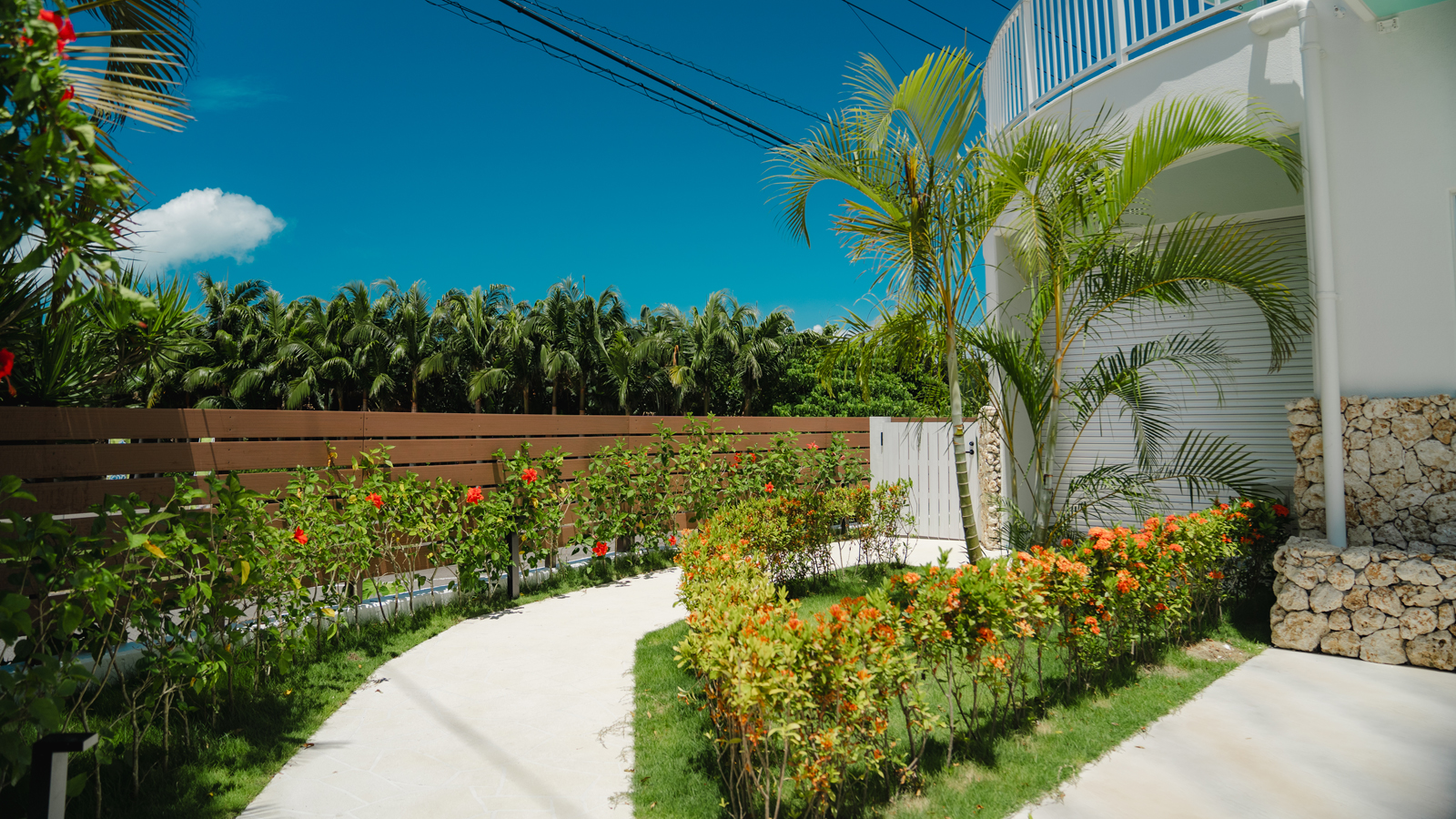 1F入口までの通路 *