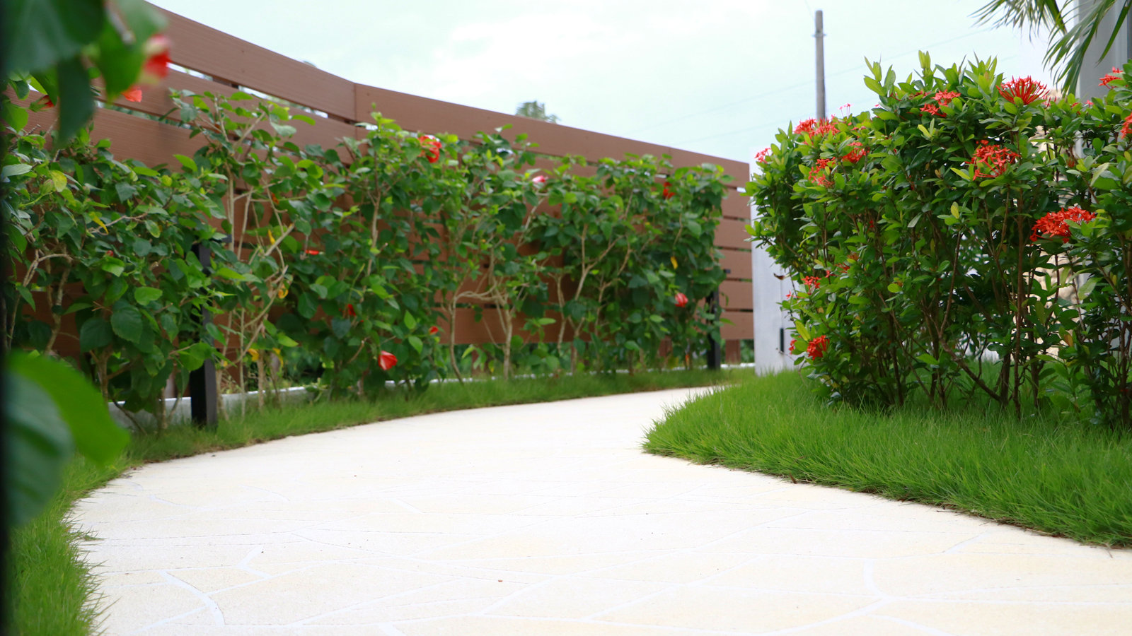 1F入口までの通路 *