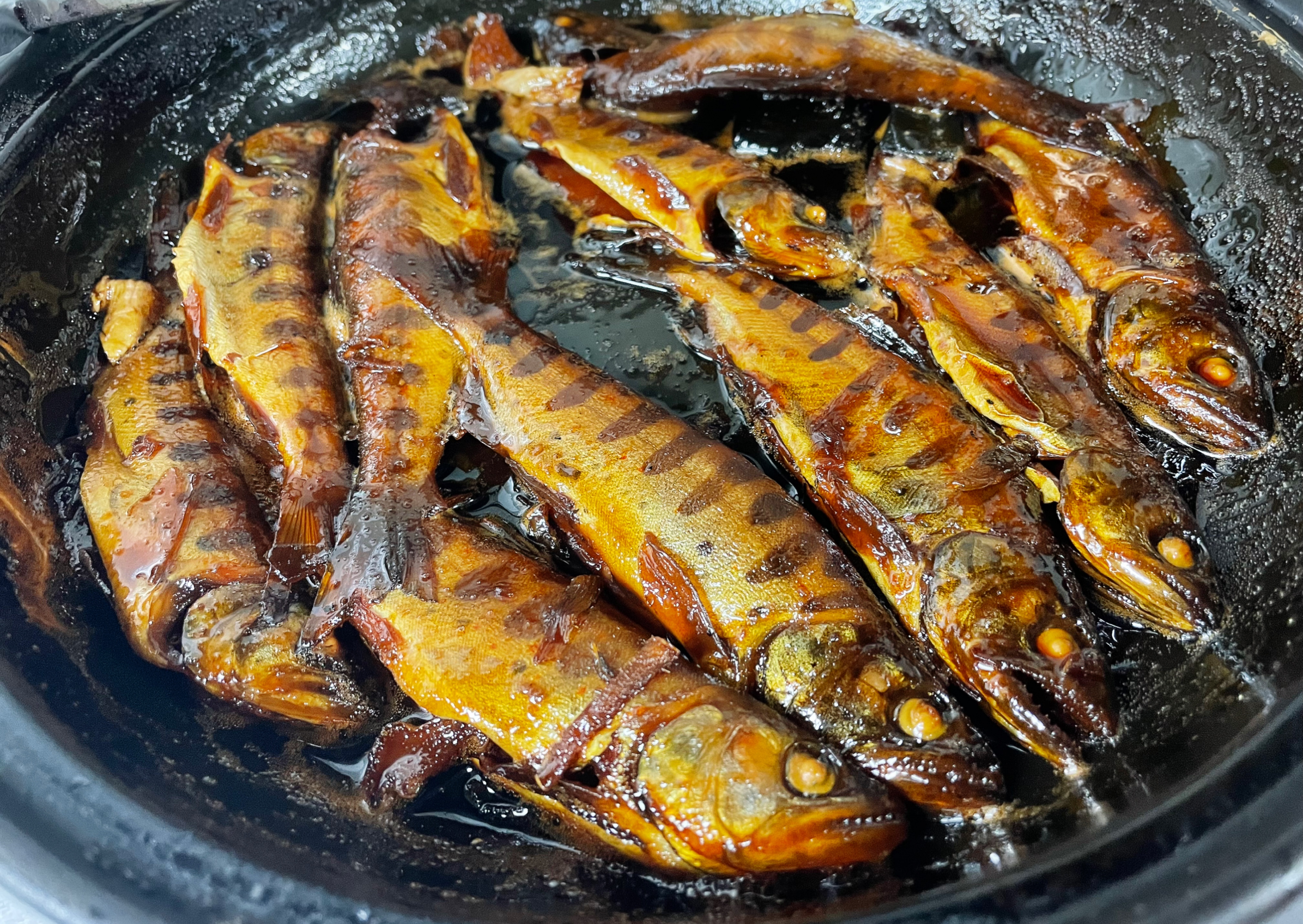 長野産　イワナの甘露煮