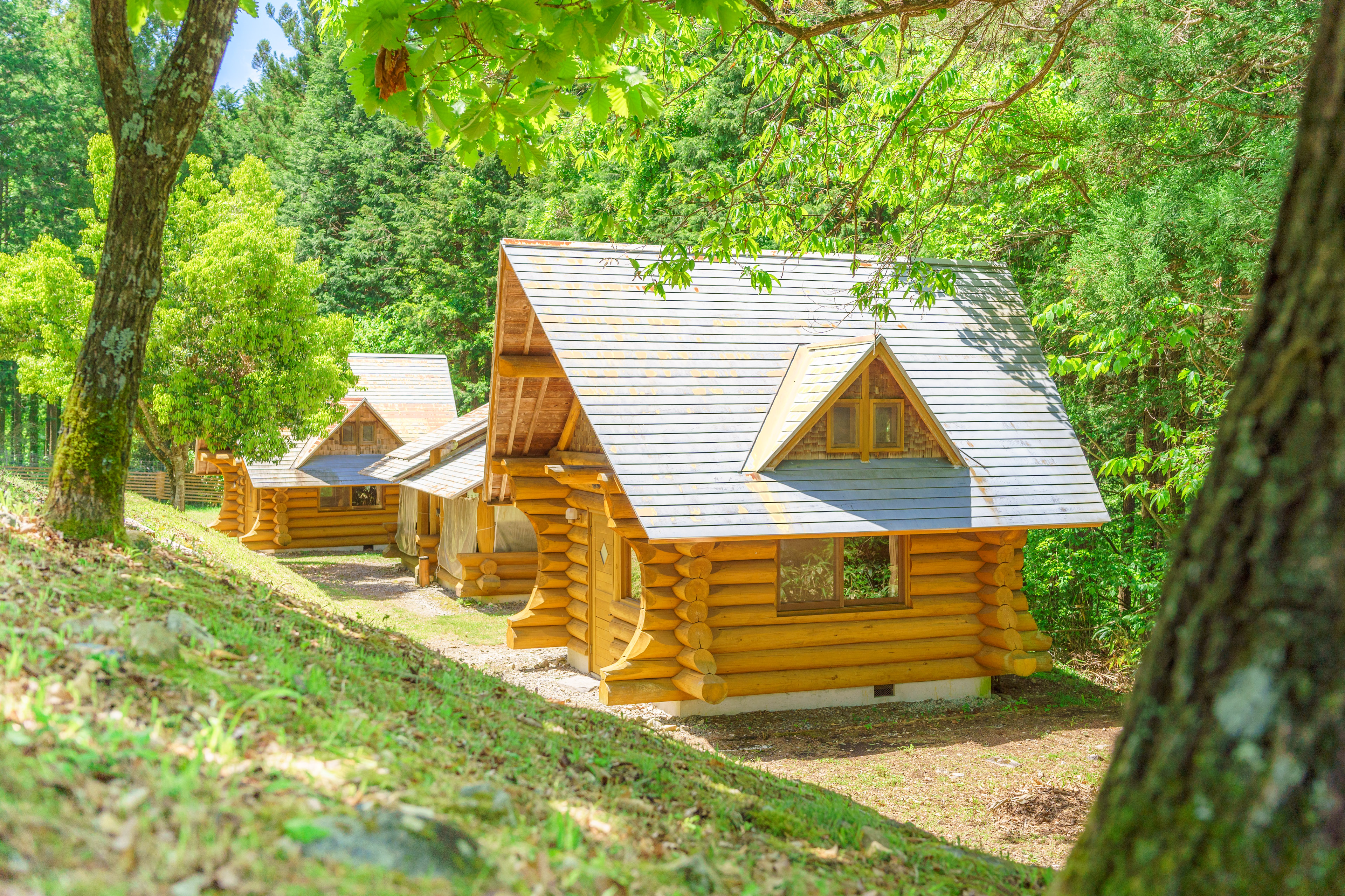 6人用ログハウス