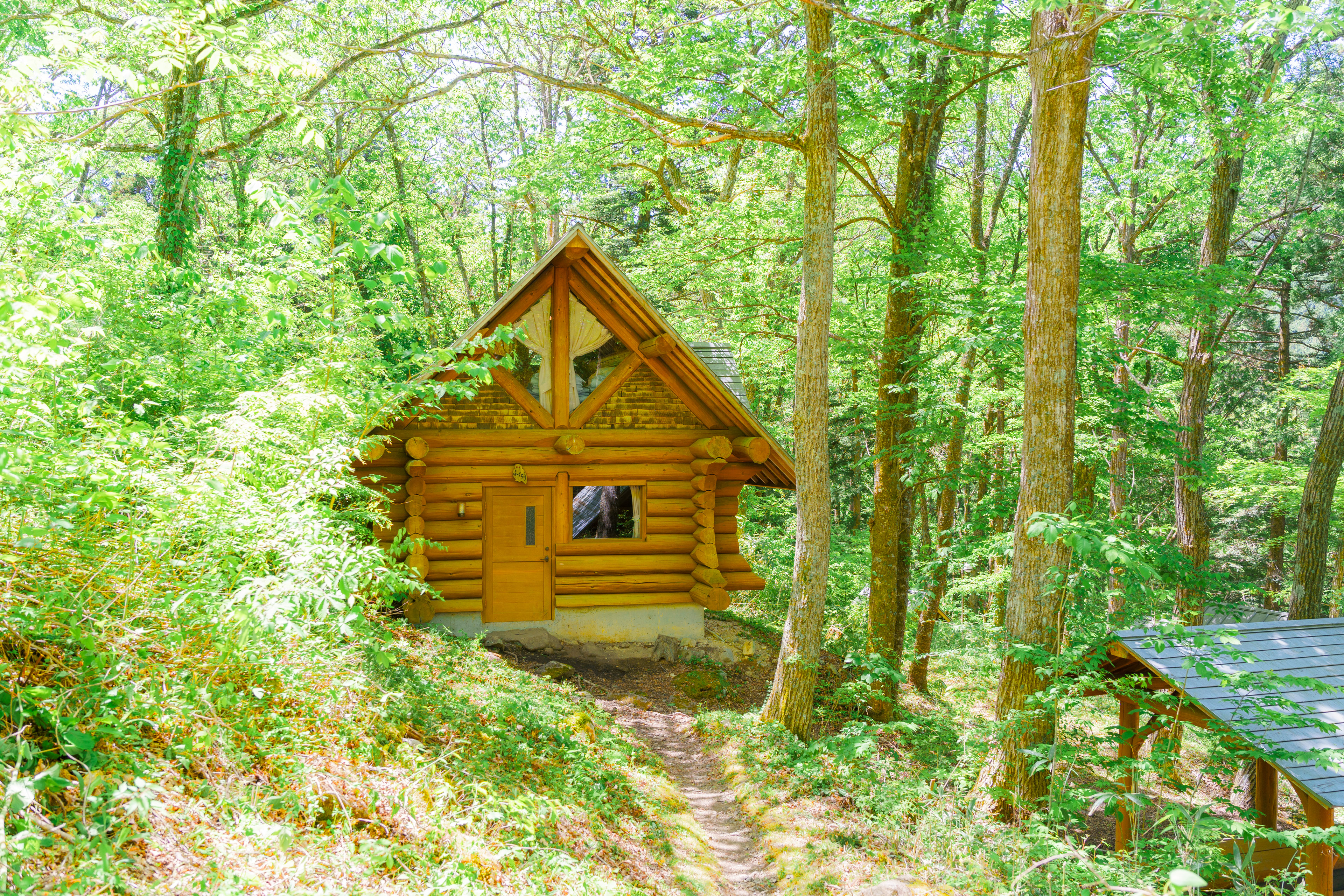 6人用ログハウス