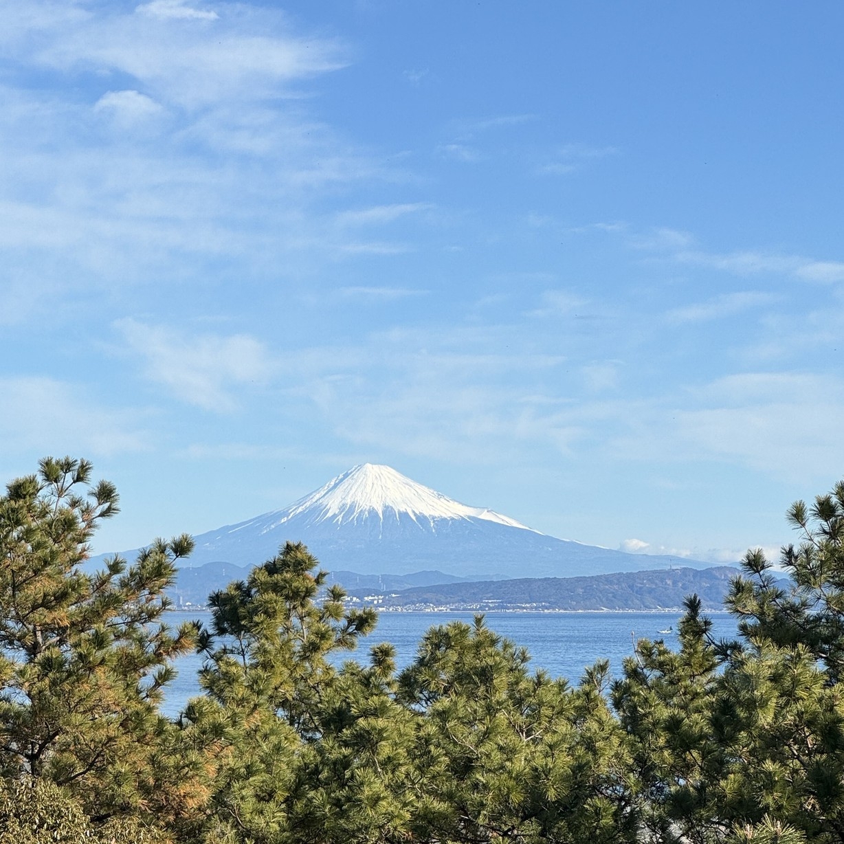 12時までのレイトチェックアウトプラン【朝食、昼食付】