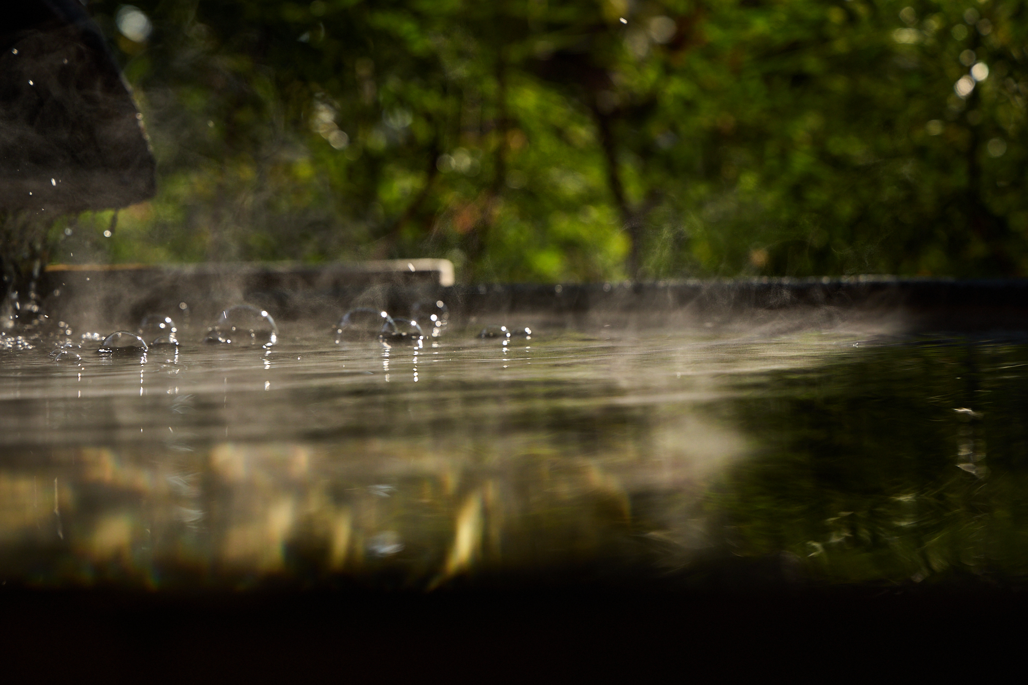 露天風呂付き和洋室 若紫