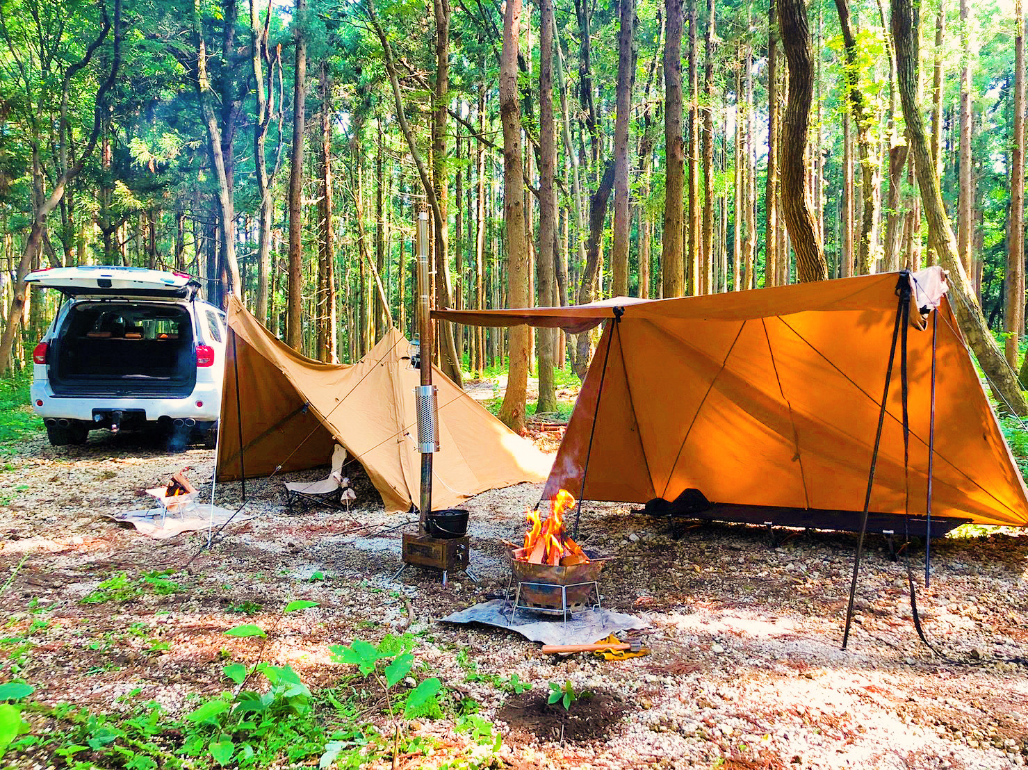 キャンプエリア