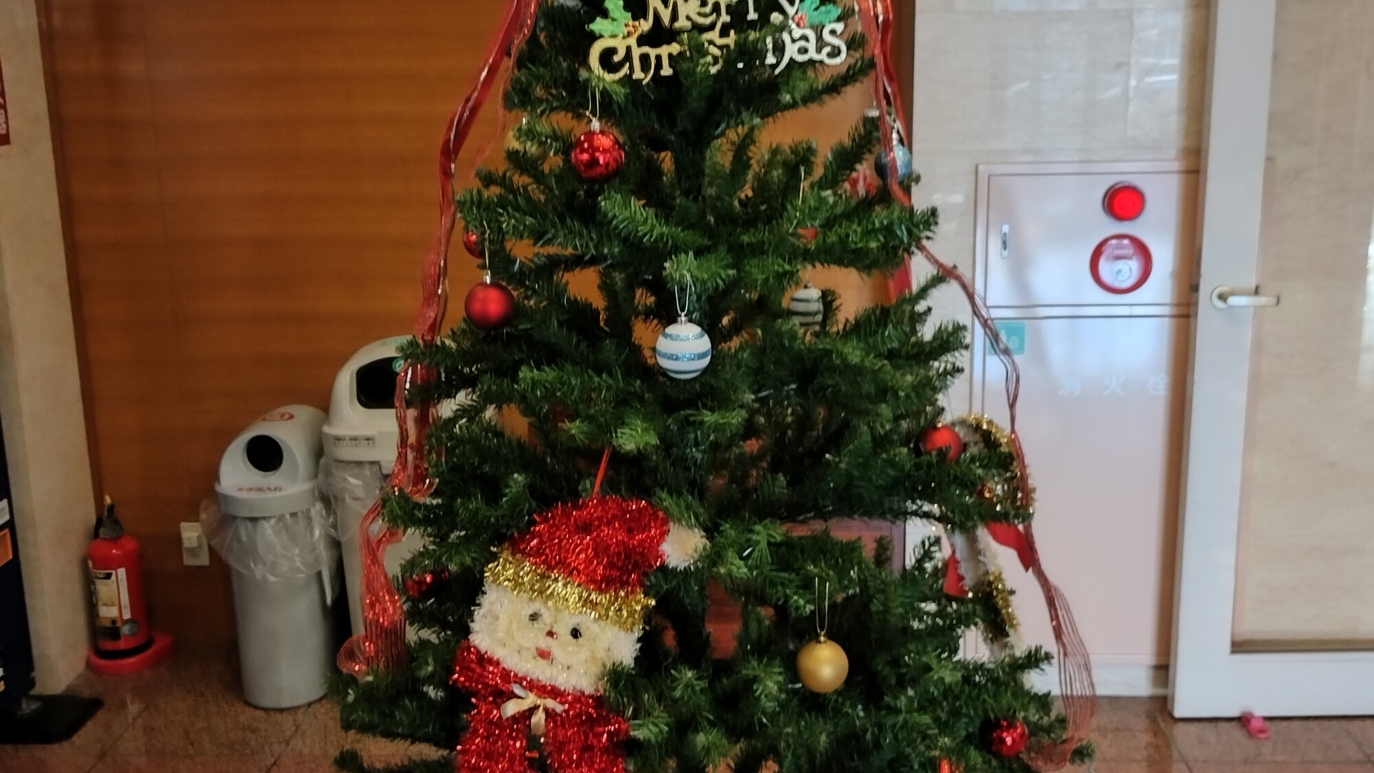 クリスマスツリー！