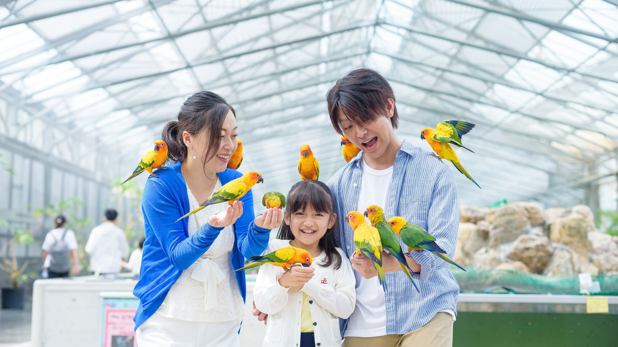 花鳥園