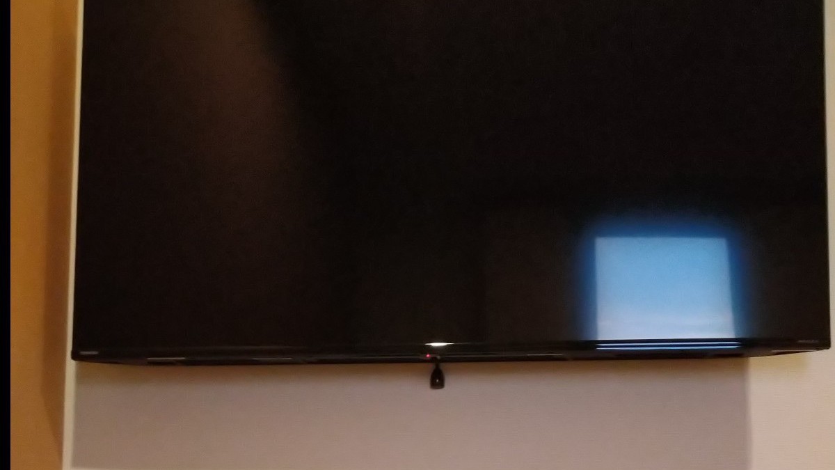 エコノミーツインTV