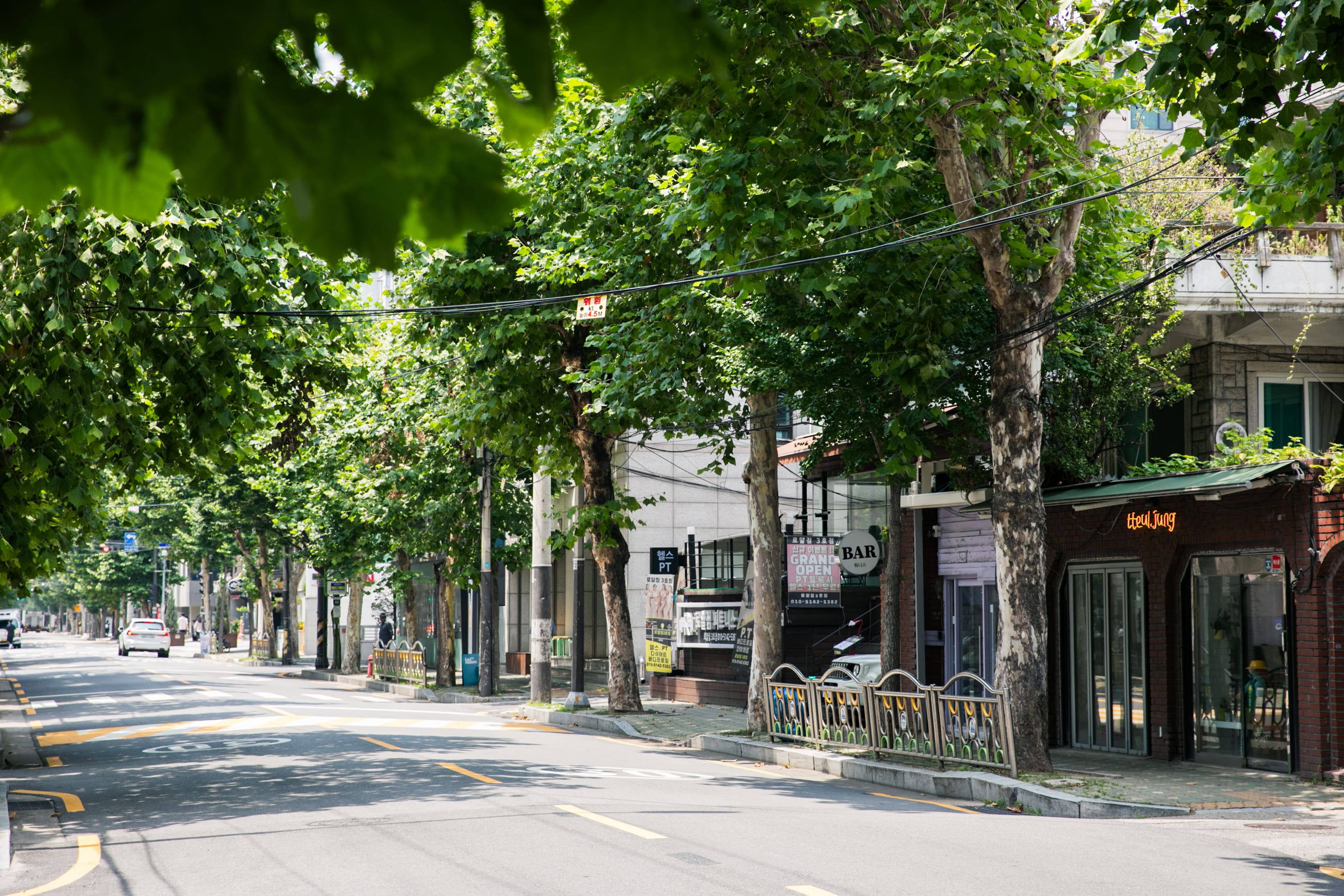 町の全景