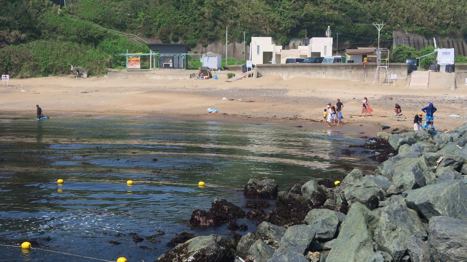 もっと海づくし！日立の旬　潮騒コース『常磐もの』目光唐揚、玉姫あわび踊り焼き、さくらダコしゃぶしゃぶ