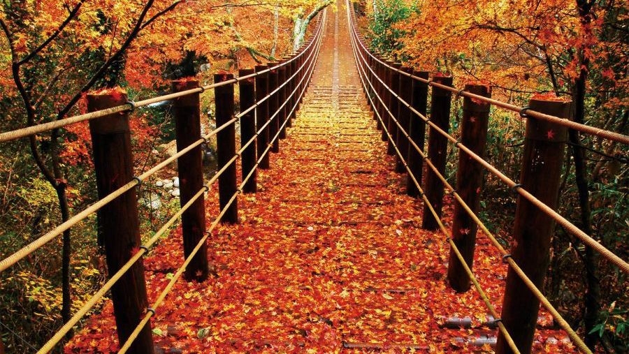 【食事なし】自由な海辺の癒し旅秋冬☆素泊り　元祖かじめ湯で湯ったり　アウトドア、イベント、テレワーク