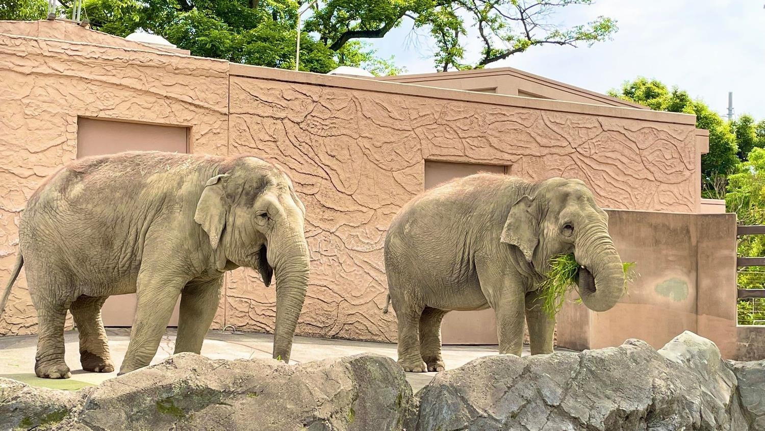 日立においでよ！【かみね動物園】入園券付き優待プラン！カップルやファミリーにオススメ！