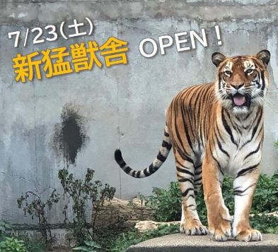 日立においでよ！【かみね動物園】入園券付き優待プラン！カップルやファミリーにオススメ！