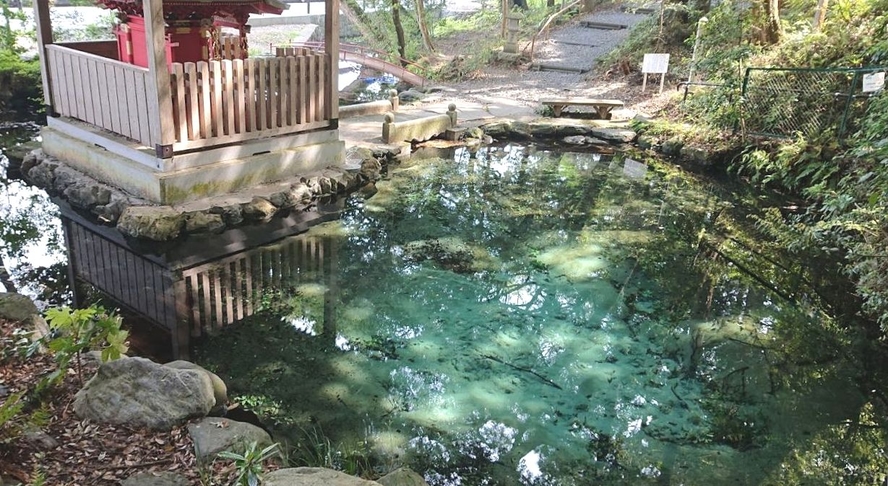 太古の霊泉、パワースポットで有名な「泉が森湧水」