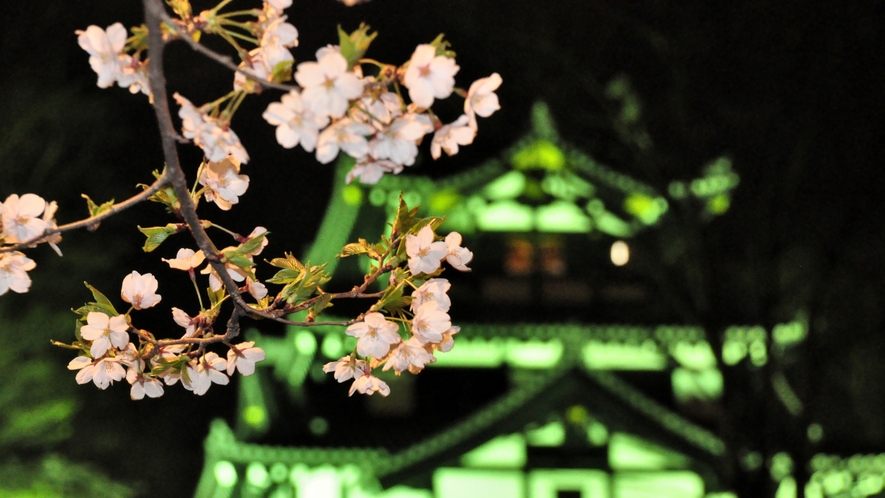 【周辺】新潟県上越市高田公園の夜桜と高田城