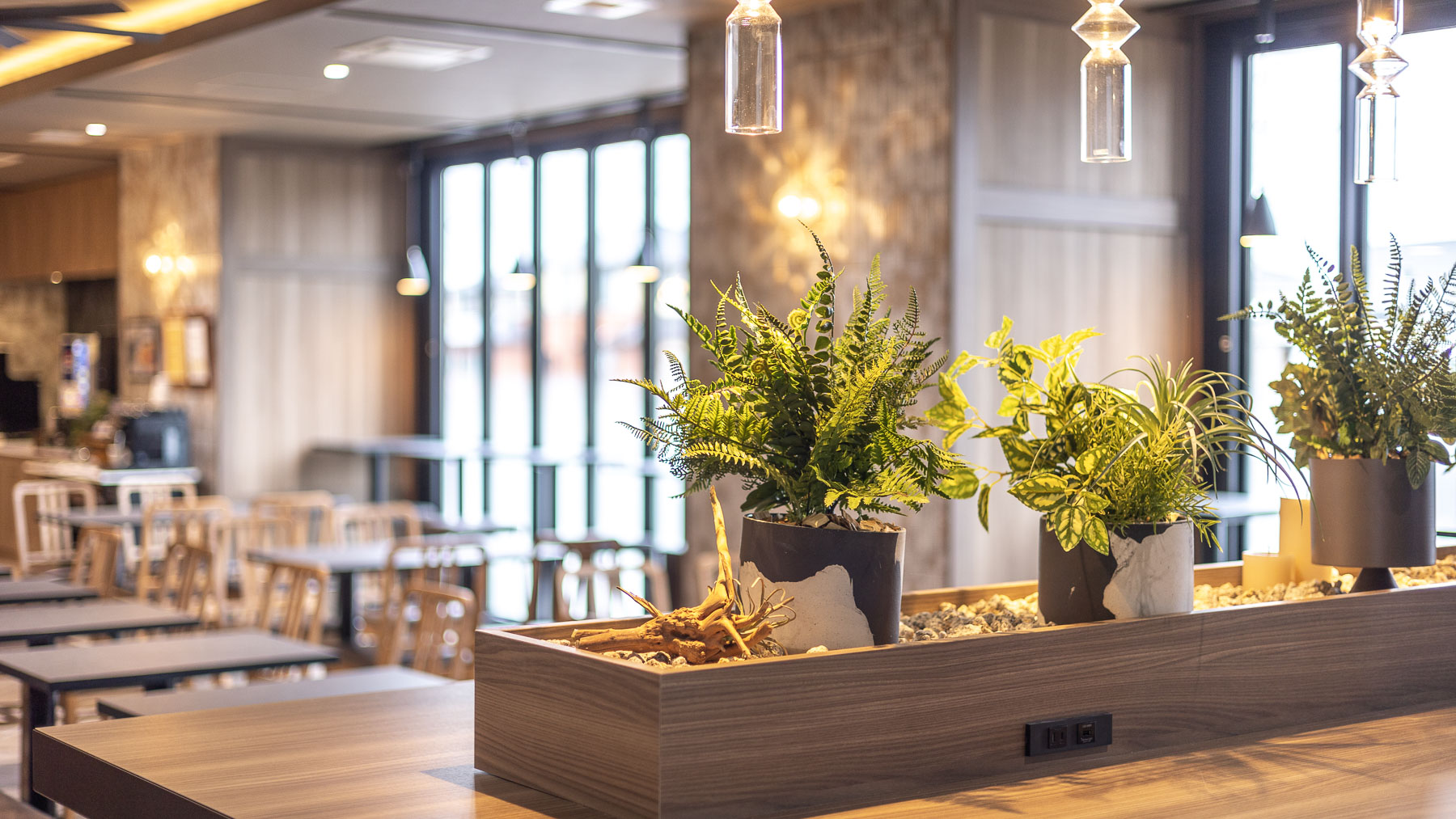 ロハスラウンジ