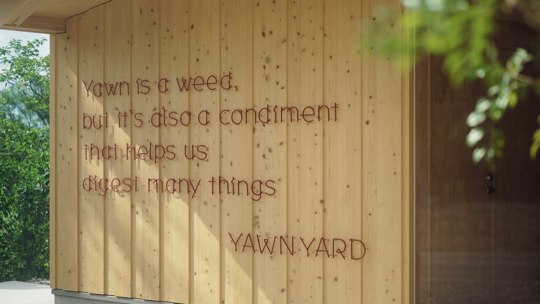 YAWN YARD