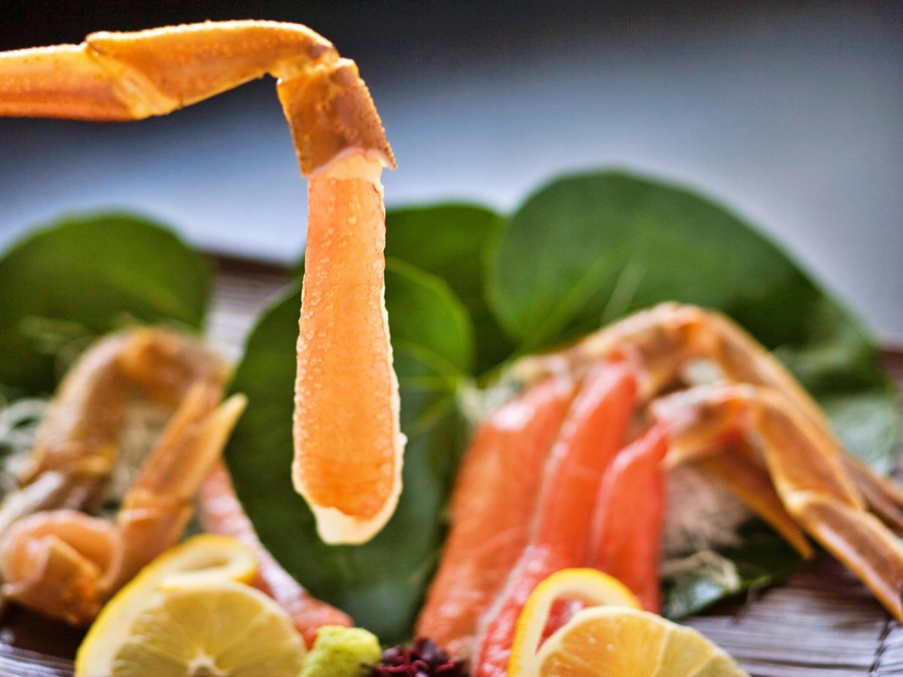 ［夕食アップグレードプラン］海の幸尽くし！通常ビュッフェ＆焼きタラバ蟹＆茹でタラバ蟹＆蝦夷鮑刺身