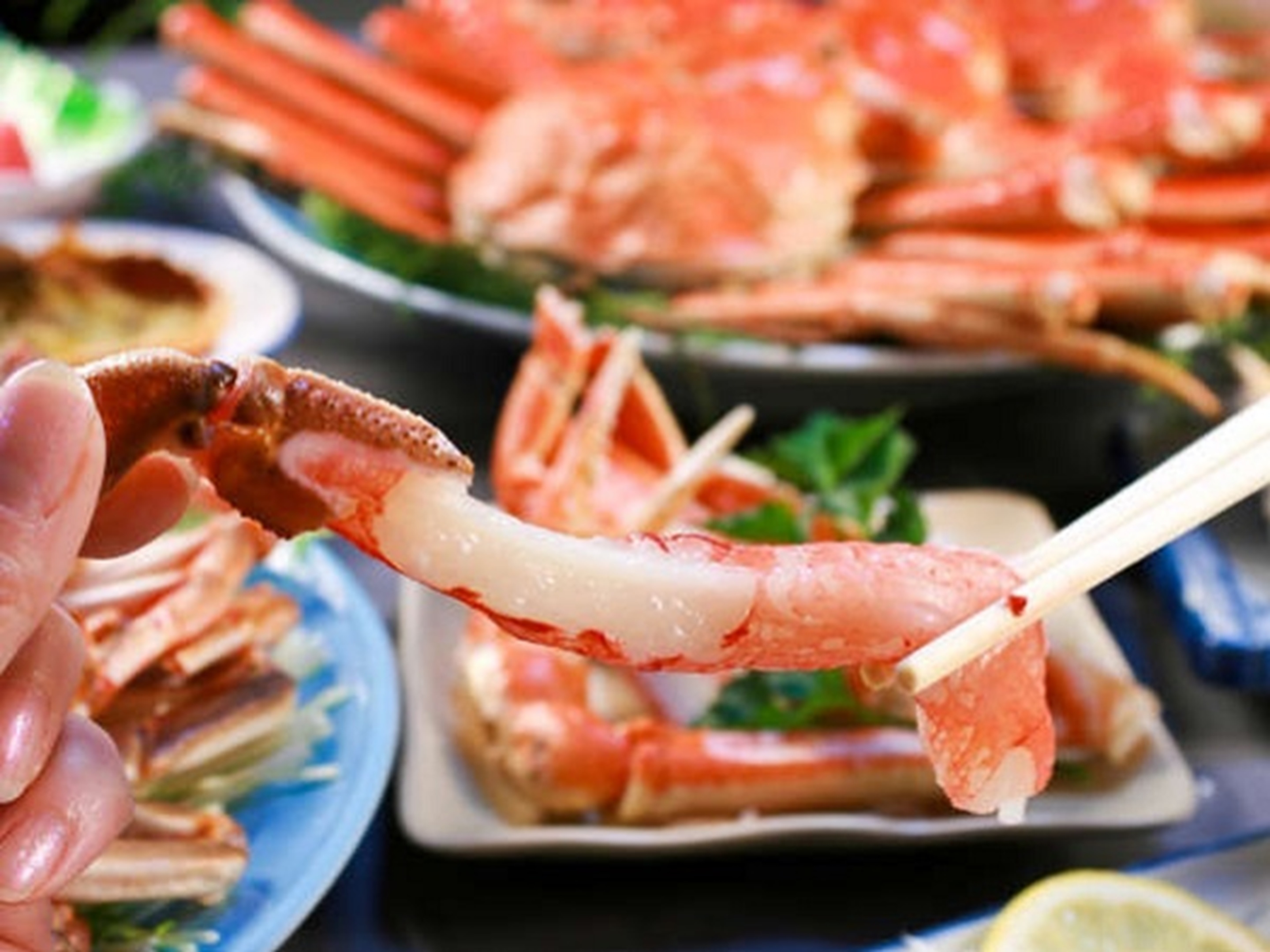 ［夕食アップグレードプラン］冬の味覚『蟹』を堪能！通常ビュッフェ＆茹で毛蟹