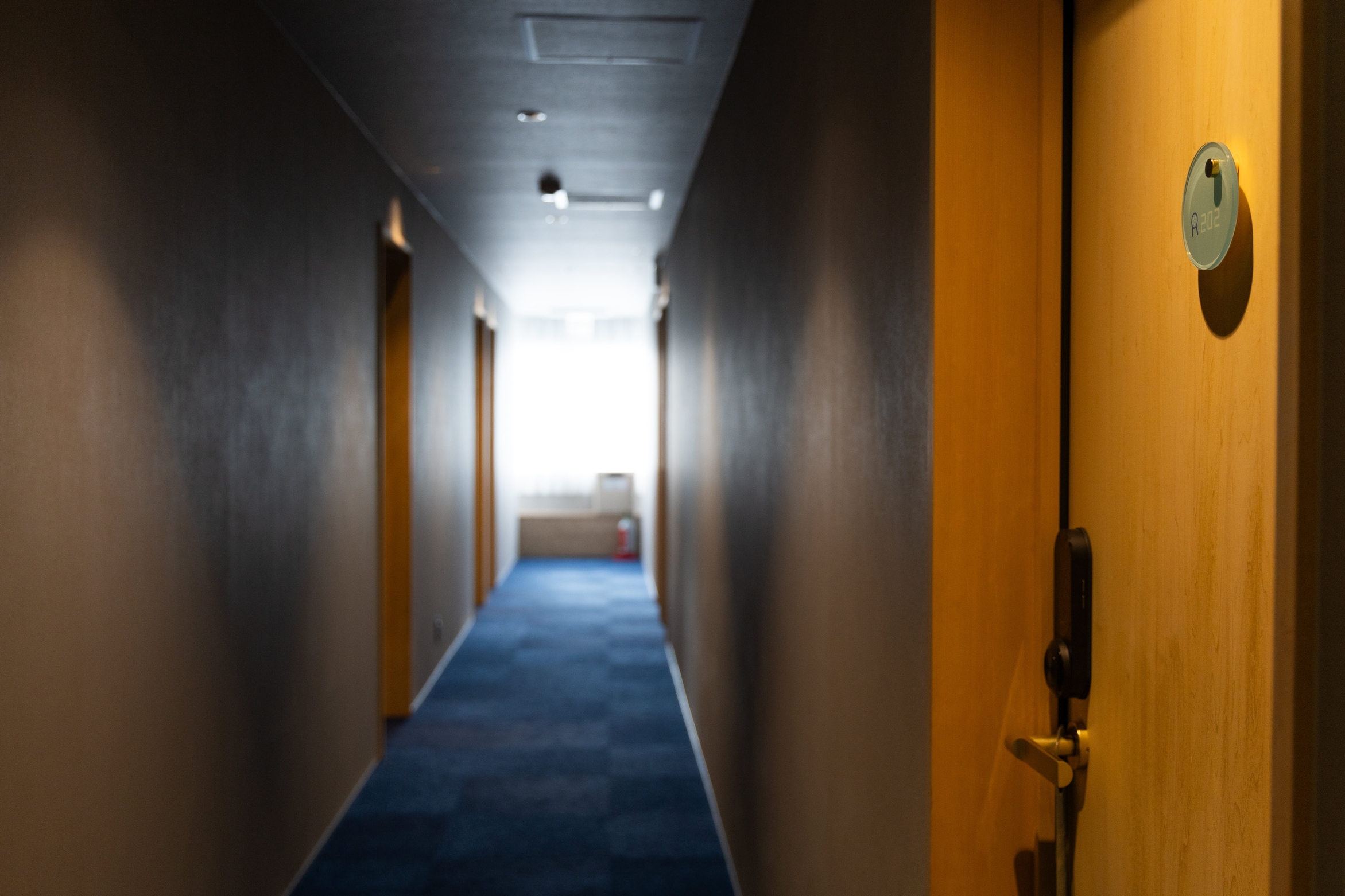 素泊まりプラン