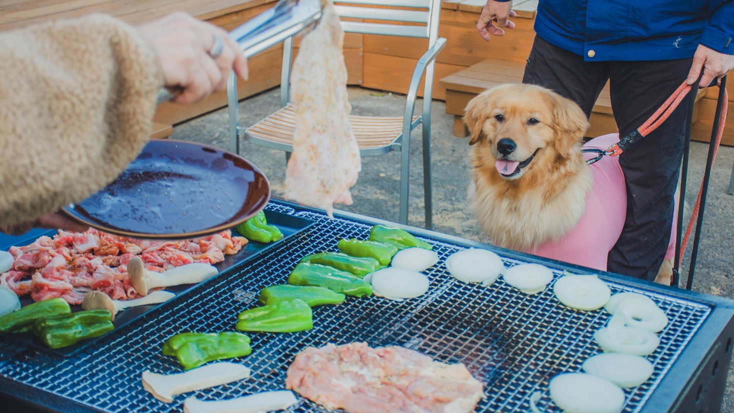 【佐渡地産海鮮セット】綺麗な海を目の前に贅沢な旅行をー古民家貸切プライベート露天風呂・サウナ付きー