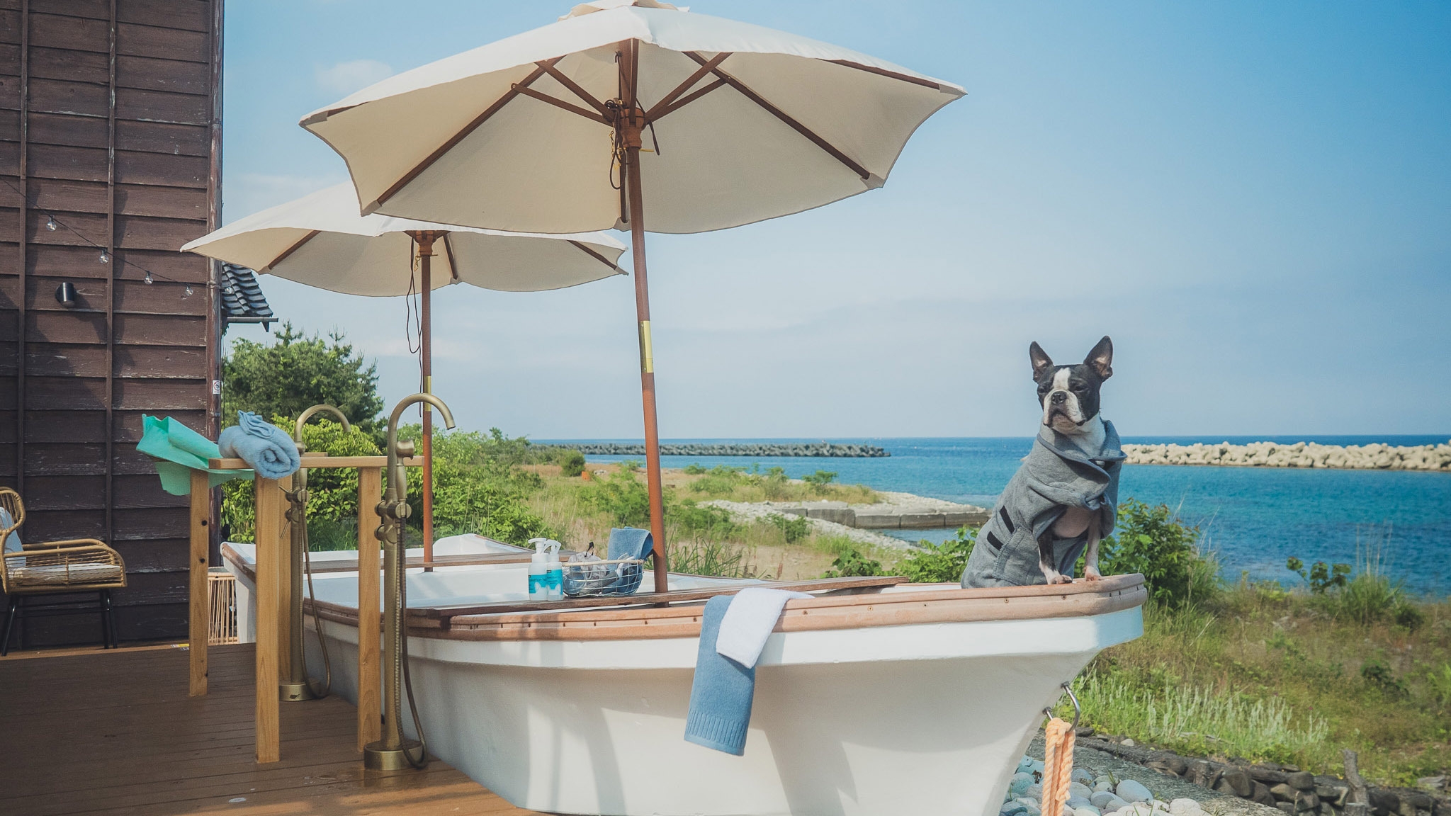 海鮮セット宿泊プラン（露天風呂・サウナ・愛犬用アメニティ無料）