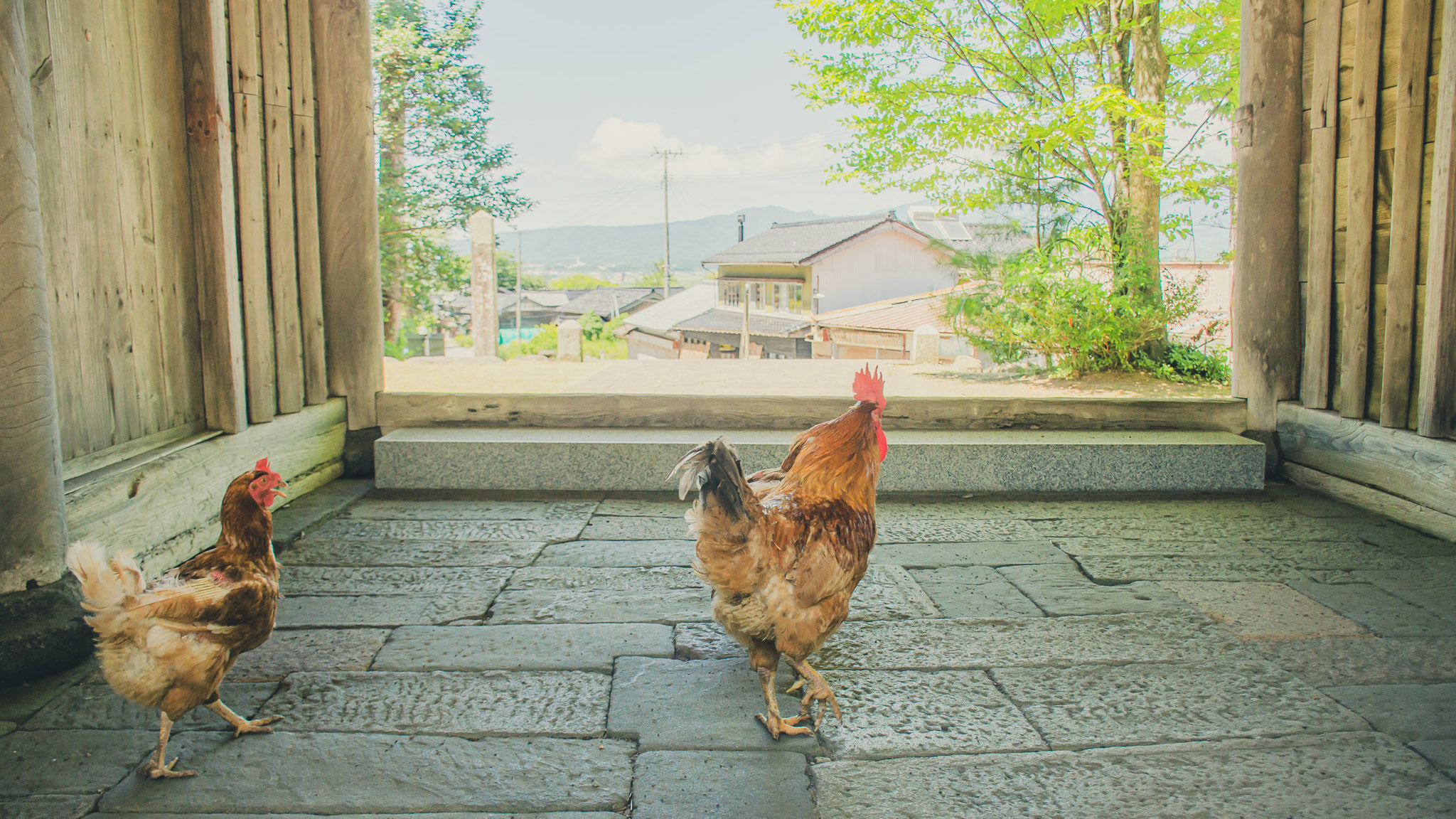 妙宣寺３
