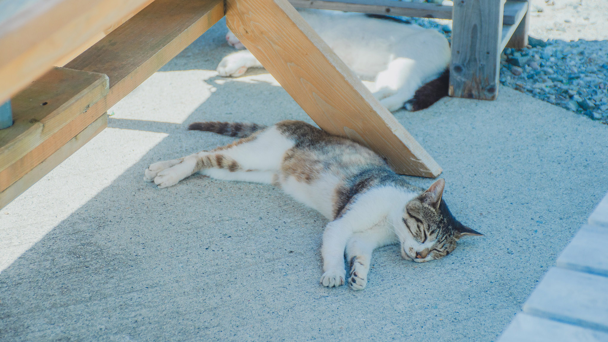 キッチンよろこんで３